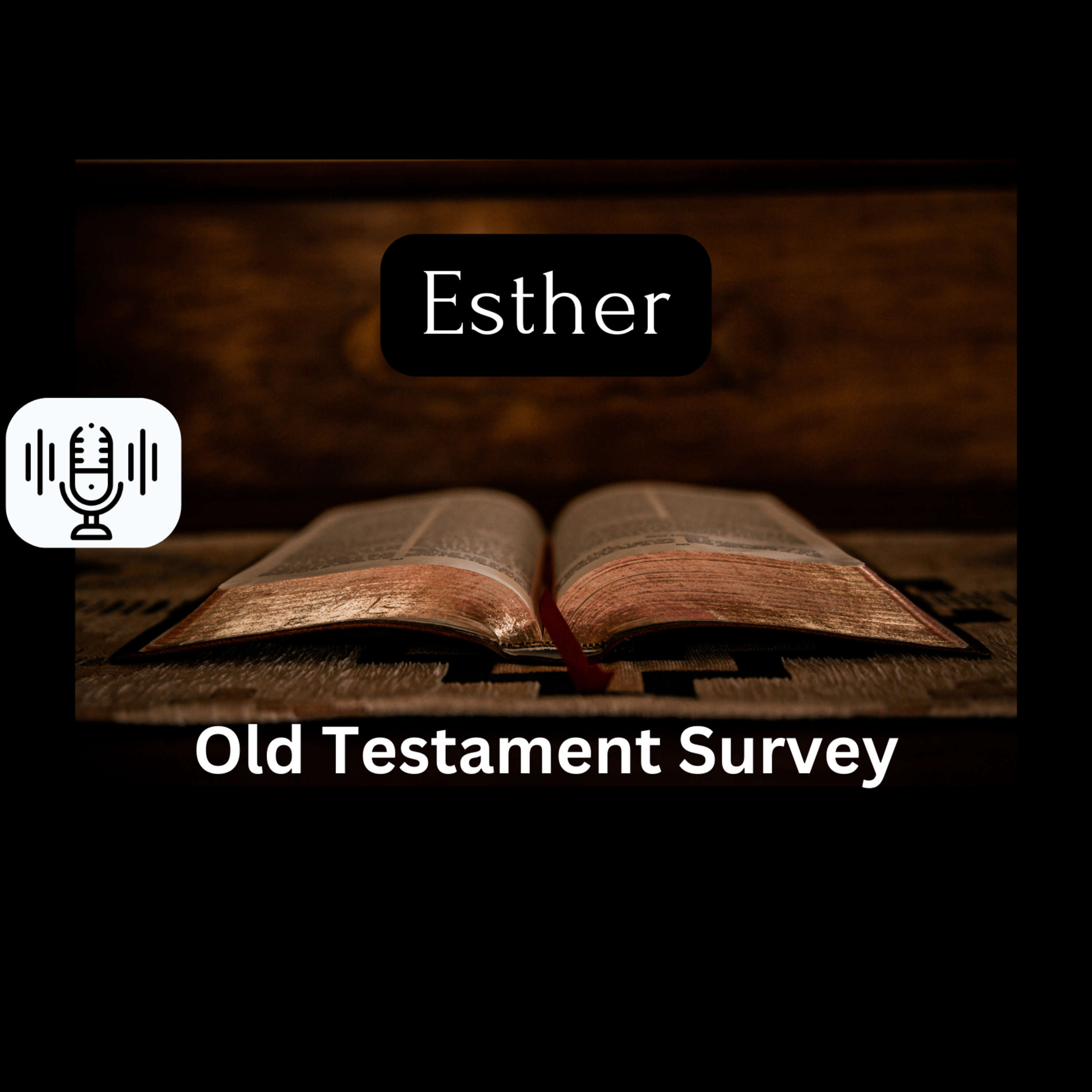 Sunday 5/5/24 - Esther (OT Survey) episode artwork