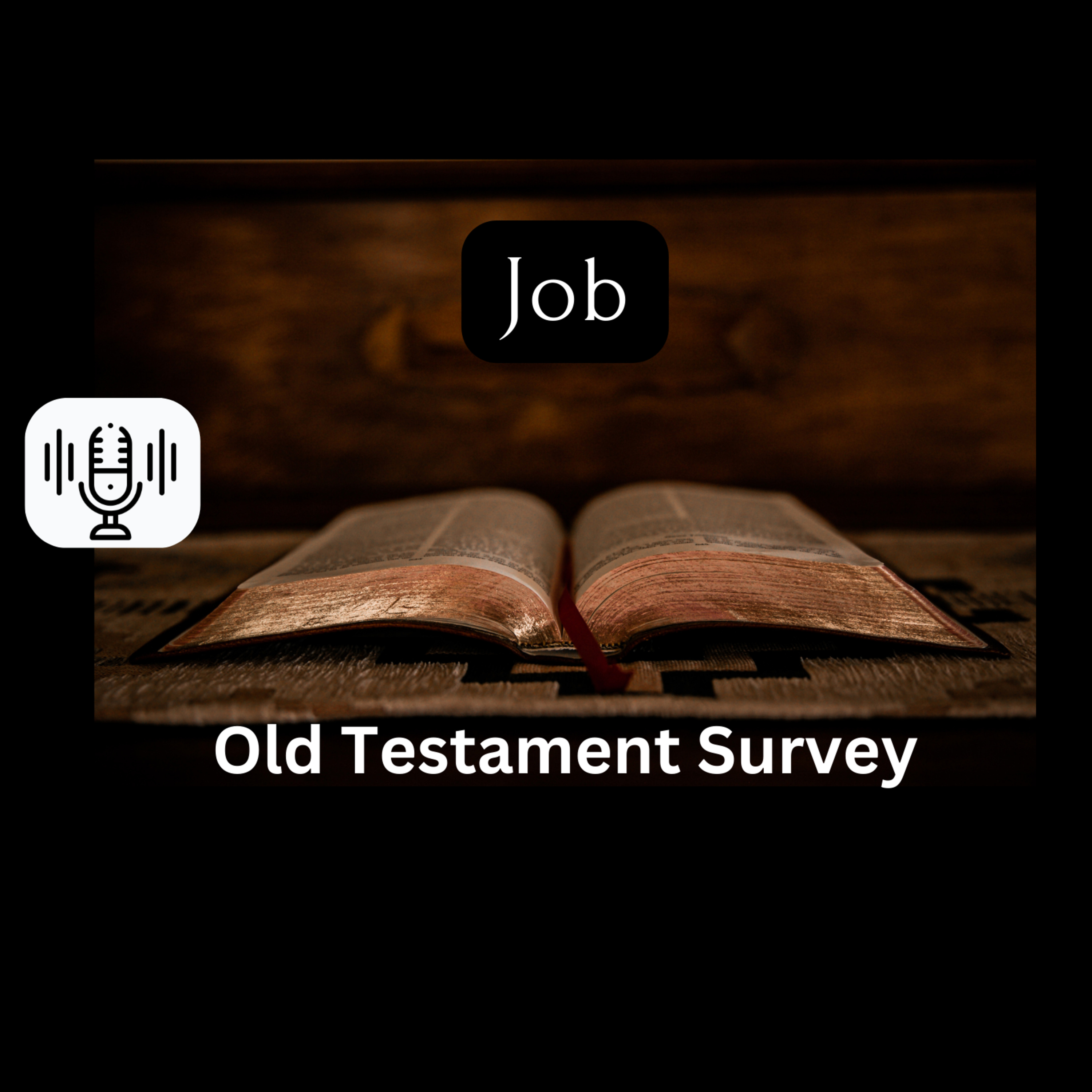 Sunday 5/12/24 - Job (OT Survey)  episode artwork
