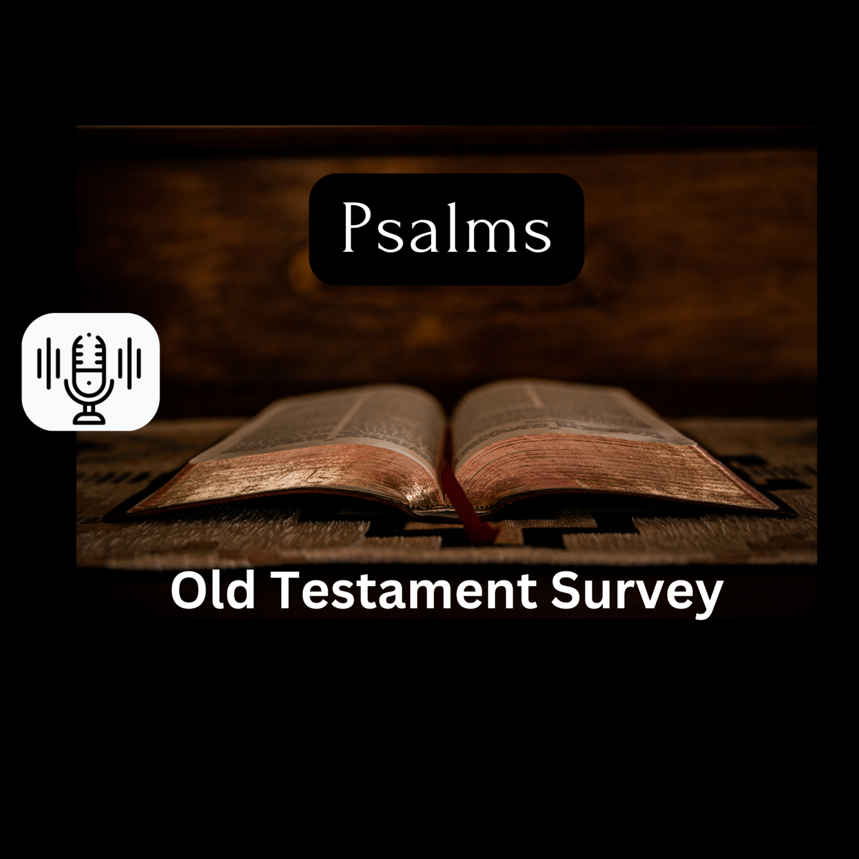 Sunday 5/19/24 - Psalms (OT Survey) episode artwork