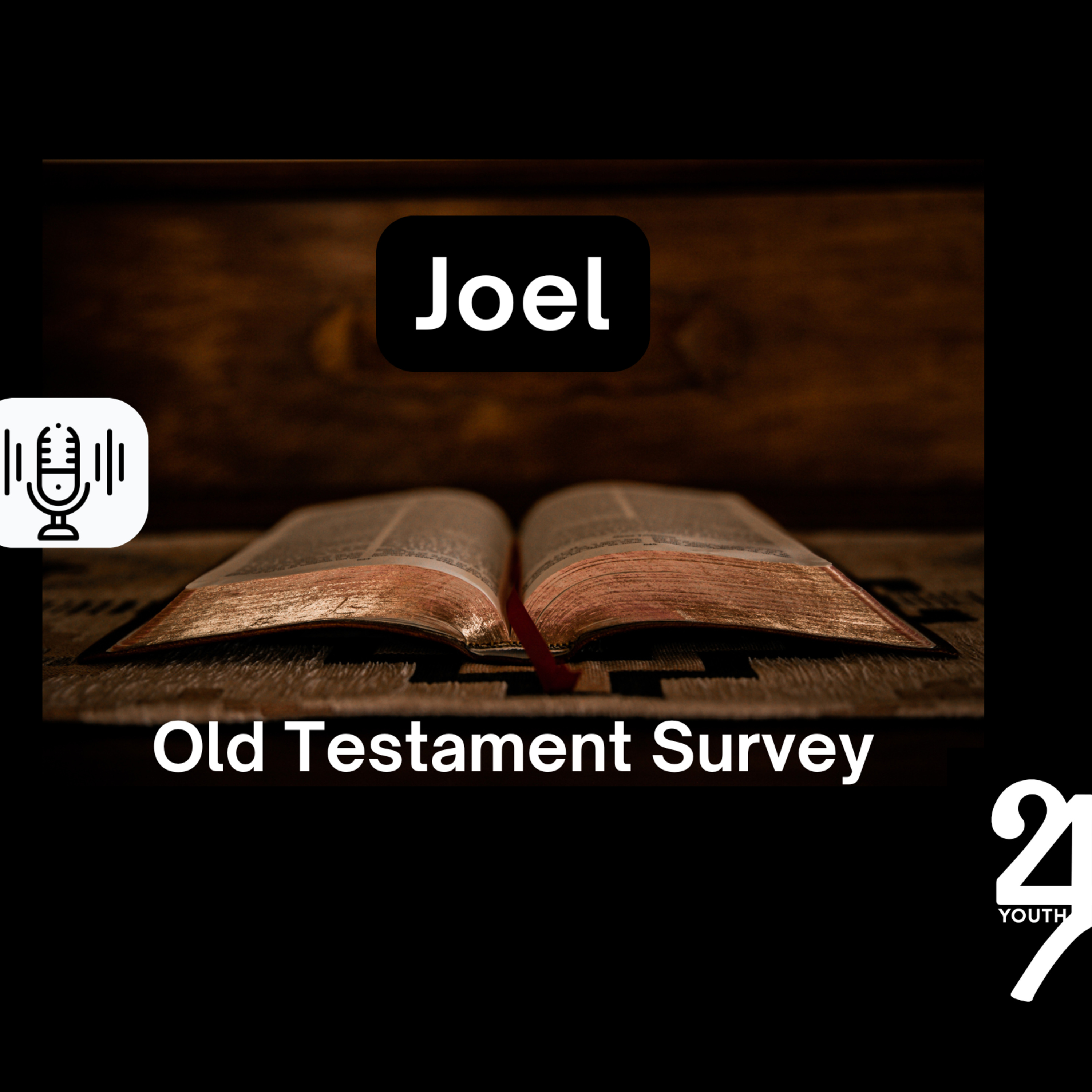 Sunday 10/27/24 - Joel (OT Survey) episode artwork