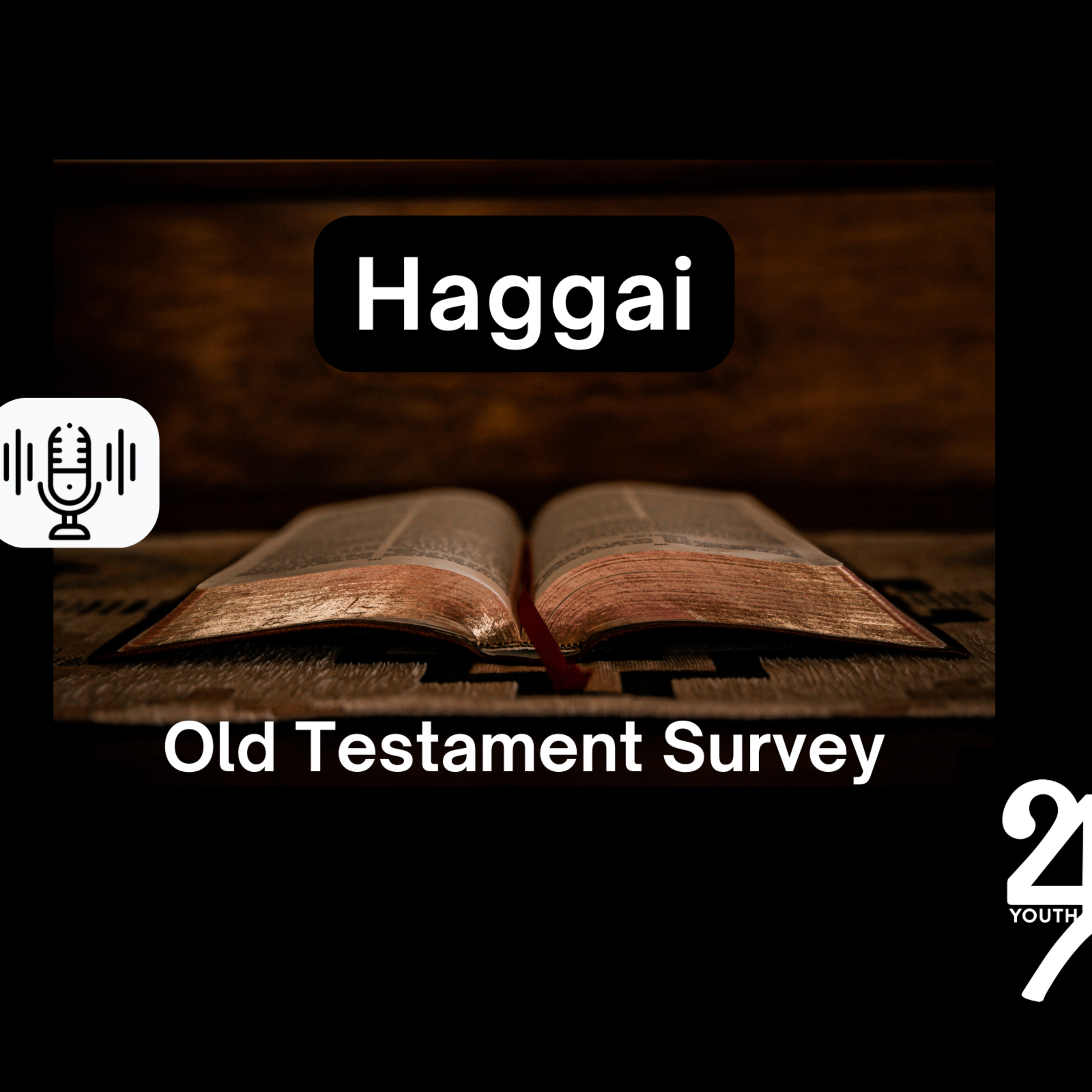 Sunday 12/22/24 - Haggai (OT Survey)
