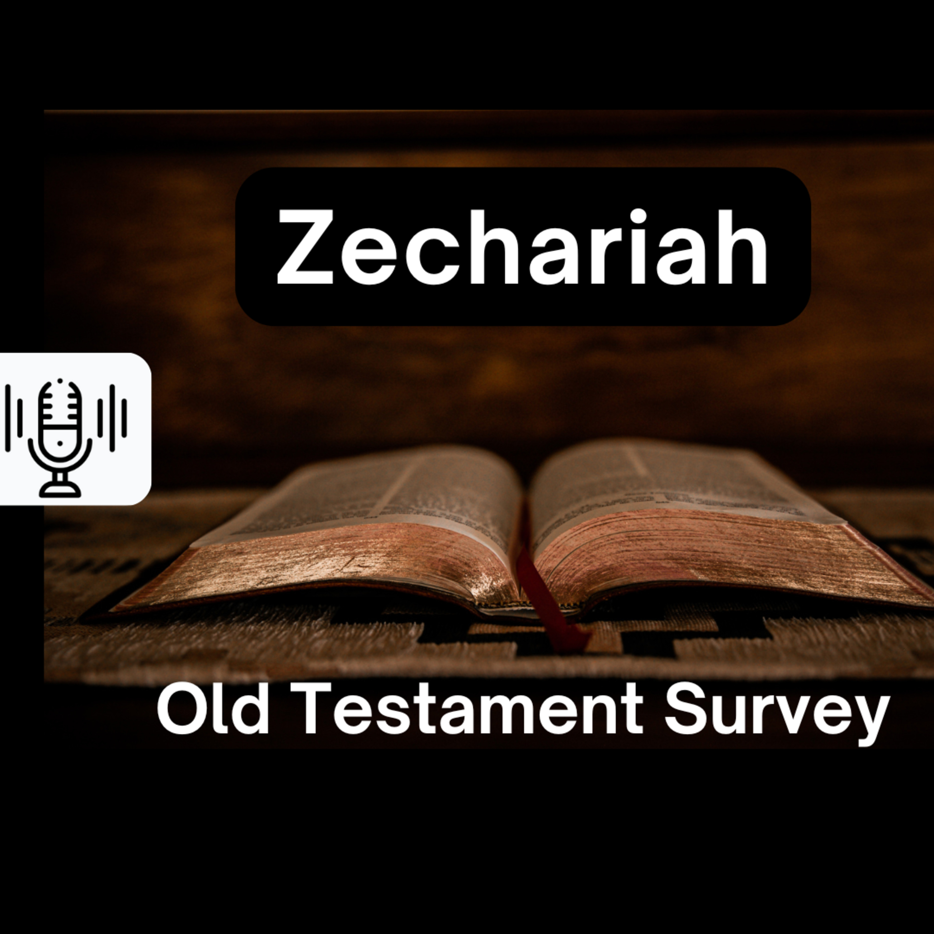 Sunday 1/5/25 - Zechariah (OT Survey) episode artwork