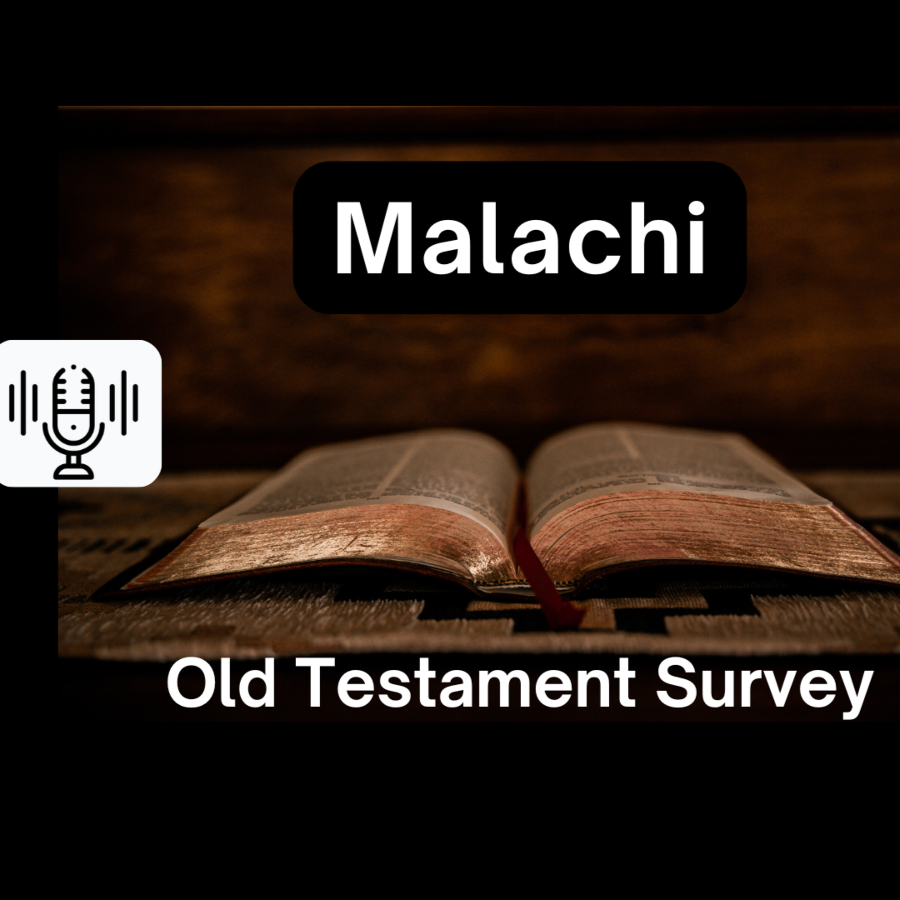 Sunday 1/12/25 - Malachi (OT Survey) episode artwork