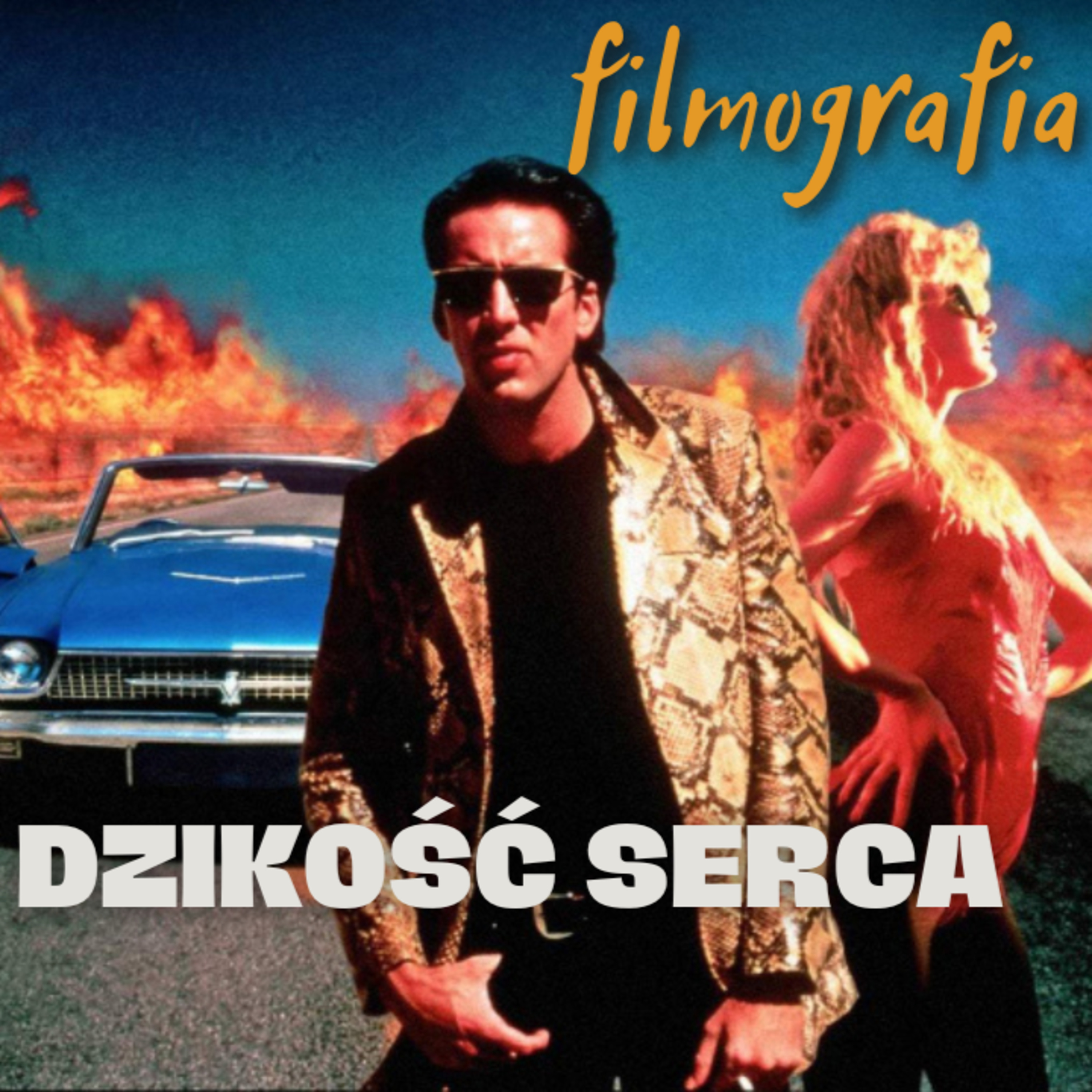 Filmografia