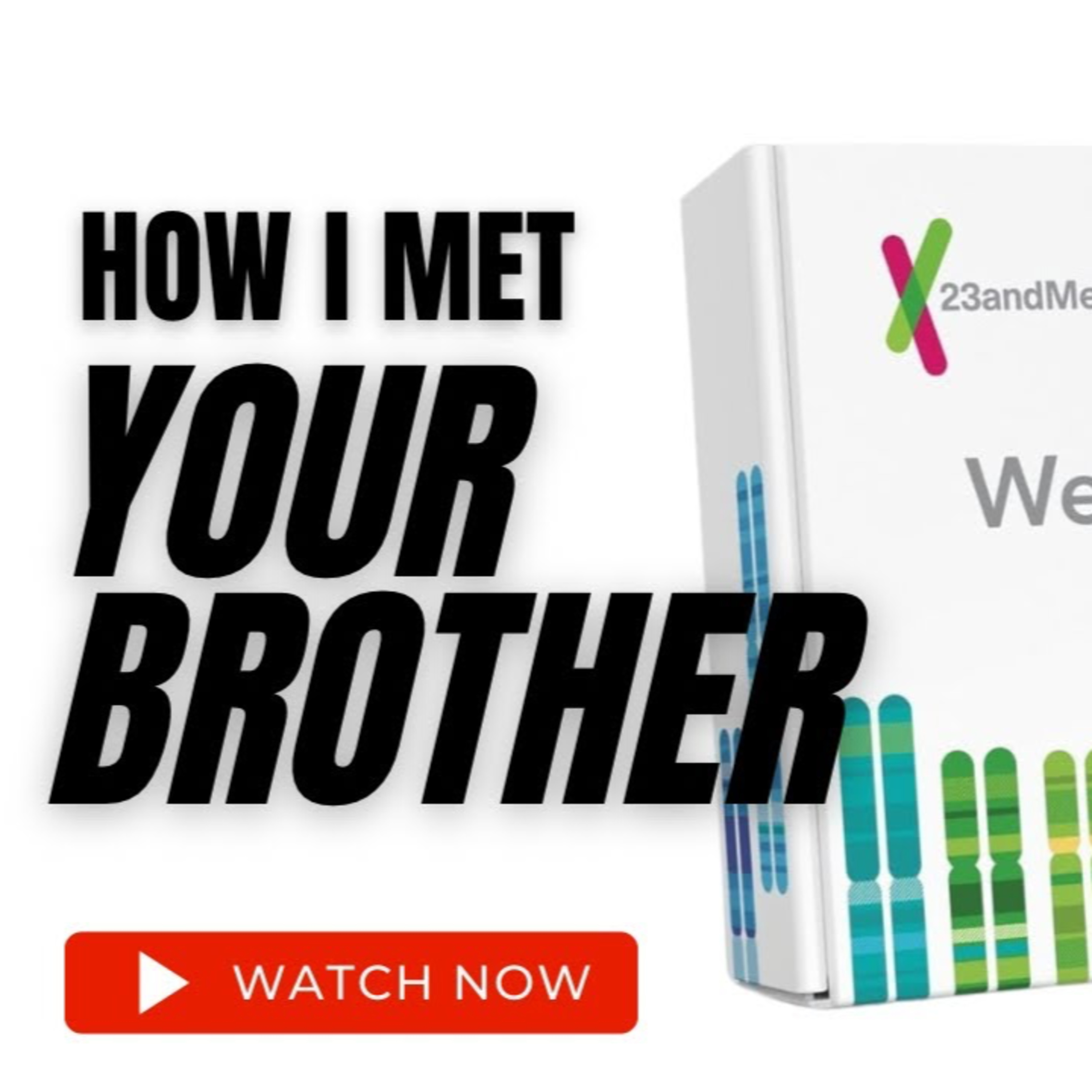 How I met your brother episode artwork