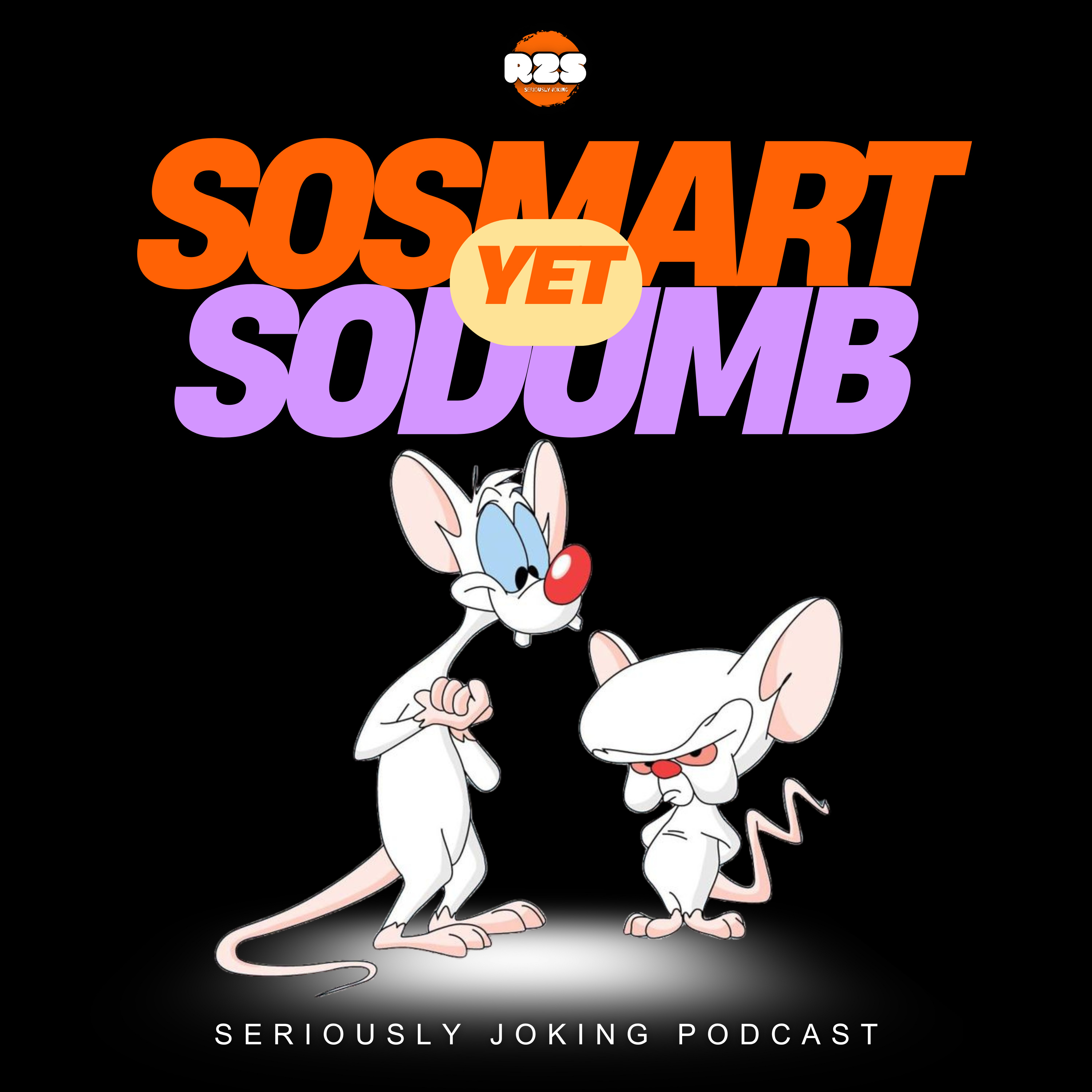 So Smart Yet So DUMB! episode artwork