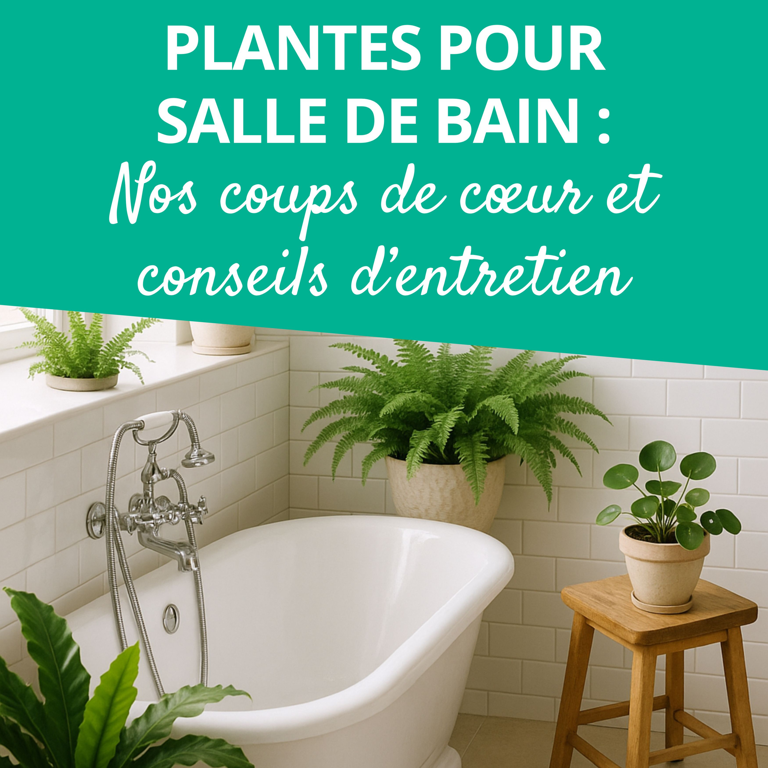 Branché au jardin : le podcast de Promesse de Fleurs sur le jardinage, la biodiversité et la nature.