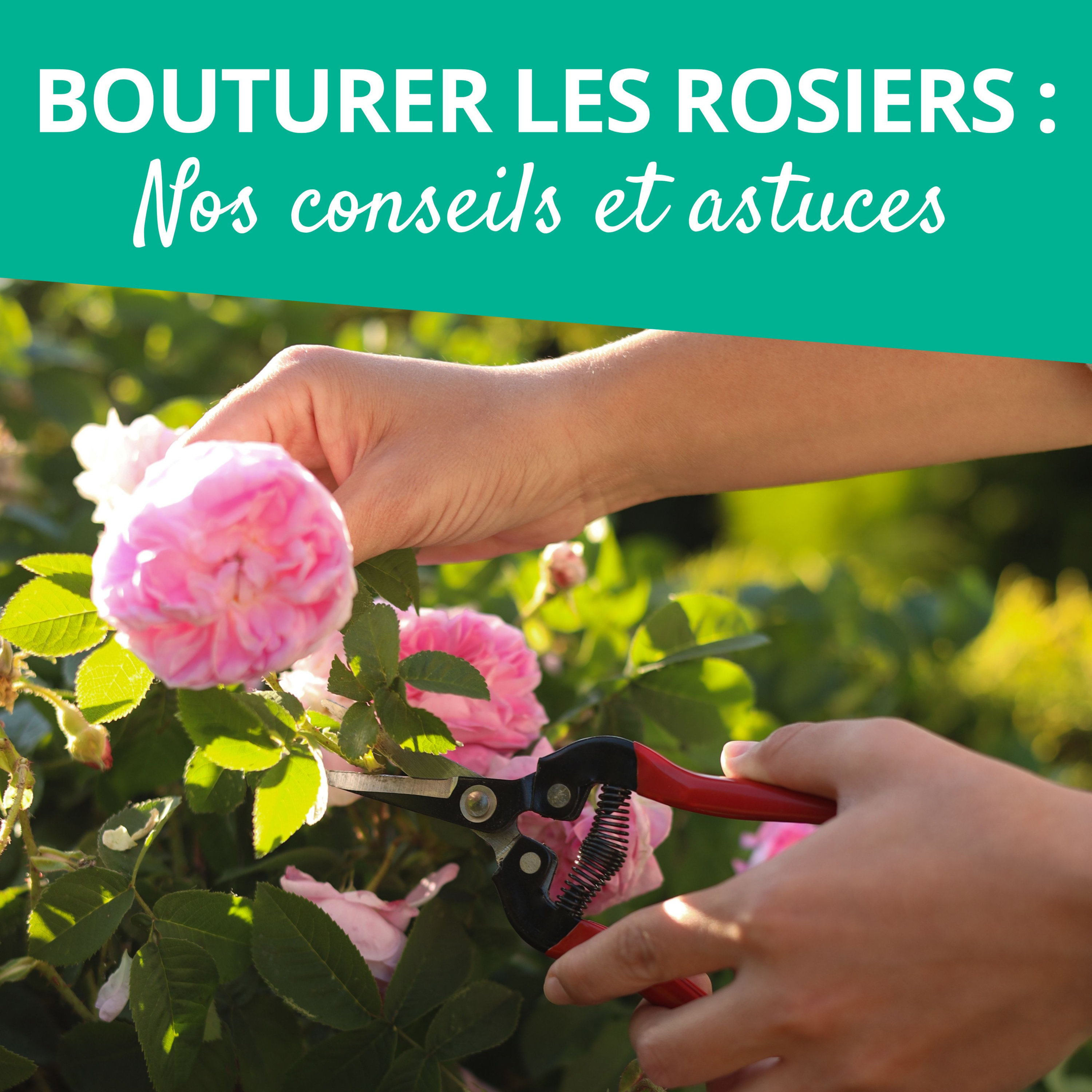 Branché au jardin : le podcast de Promesse de Fleurs sur le jardinage, la biodiversité et la nature.