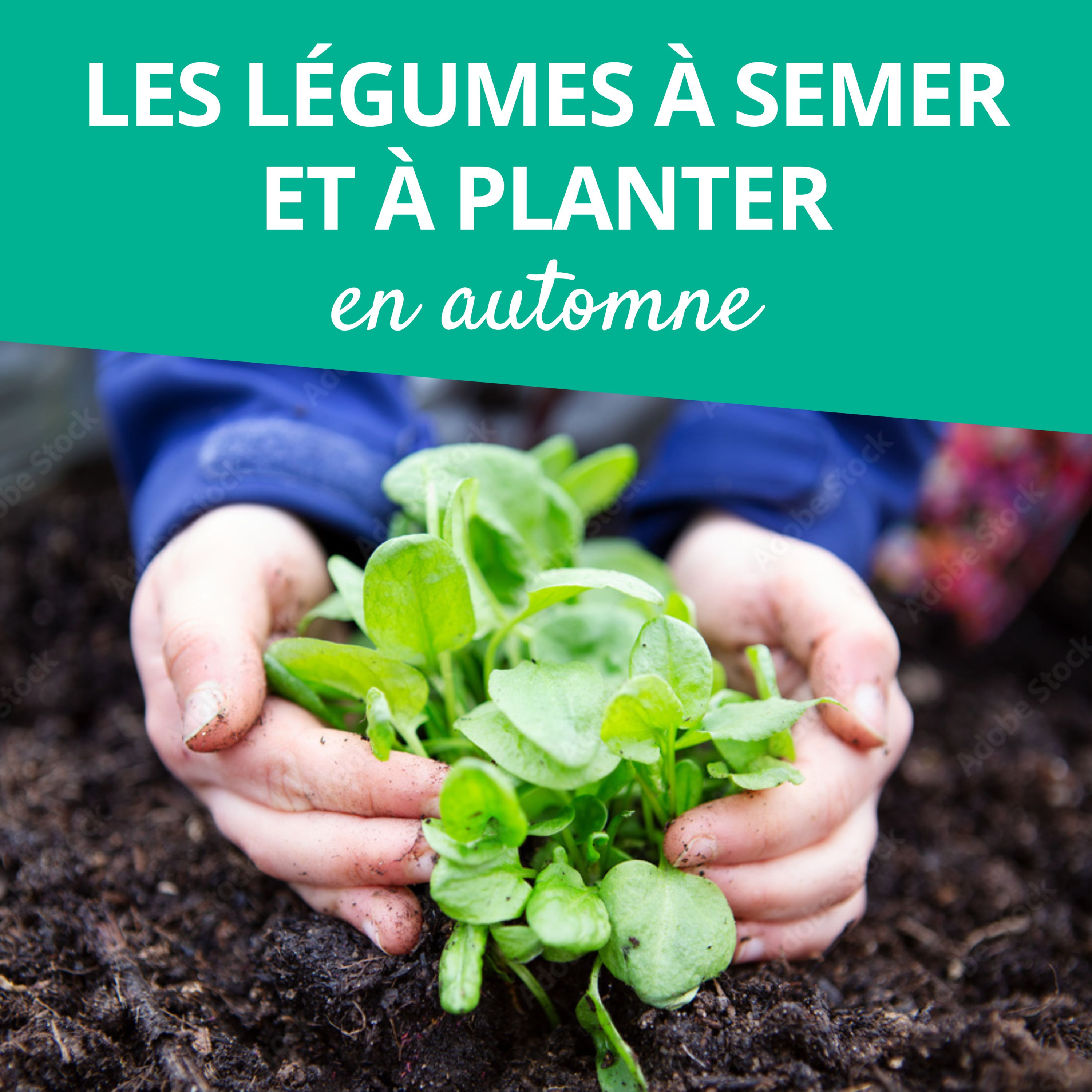 Branché au jardin : le podcast de Promesse de Fleurs sur le jardinage, la biodiversité et la nature.