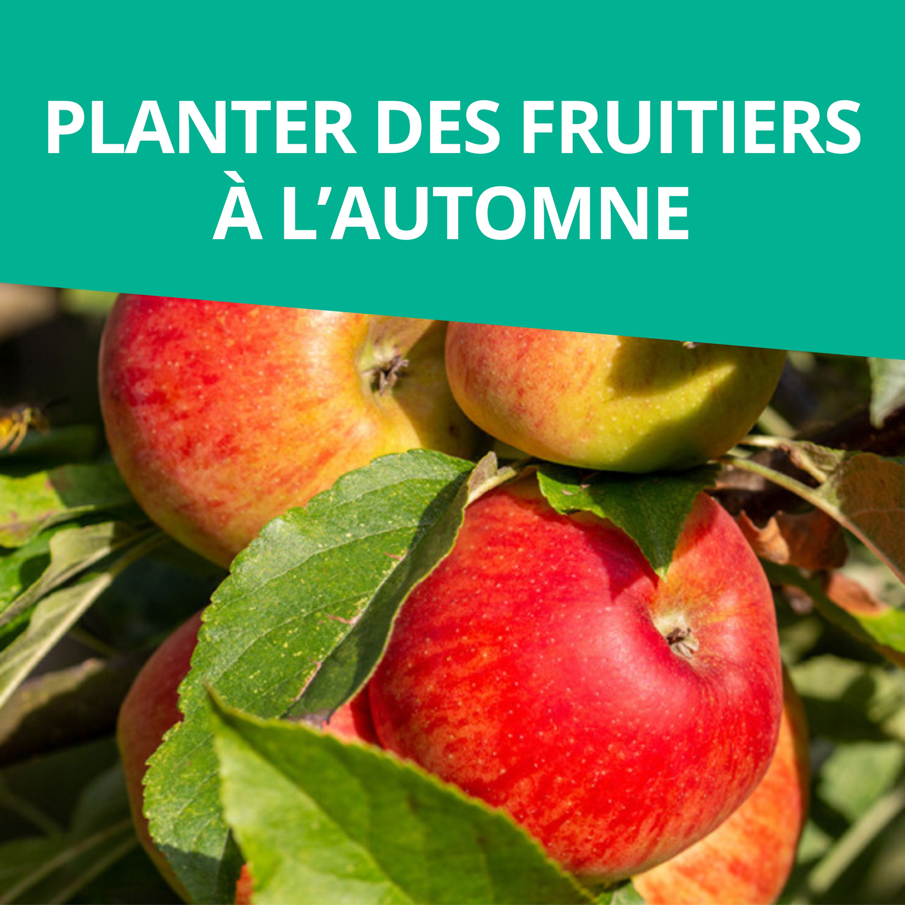 Branché au jardin : le podcast de Promesse de Fleurs sur le jardinage, la biodiversité et la nature.