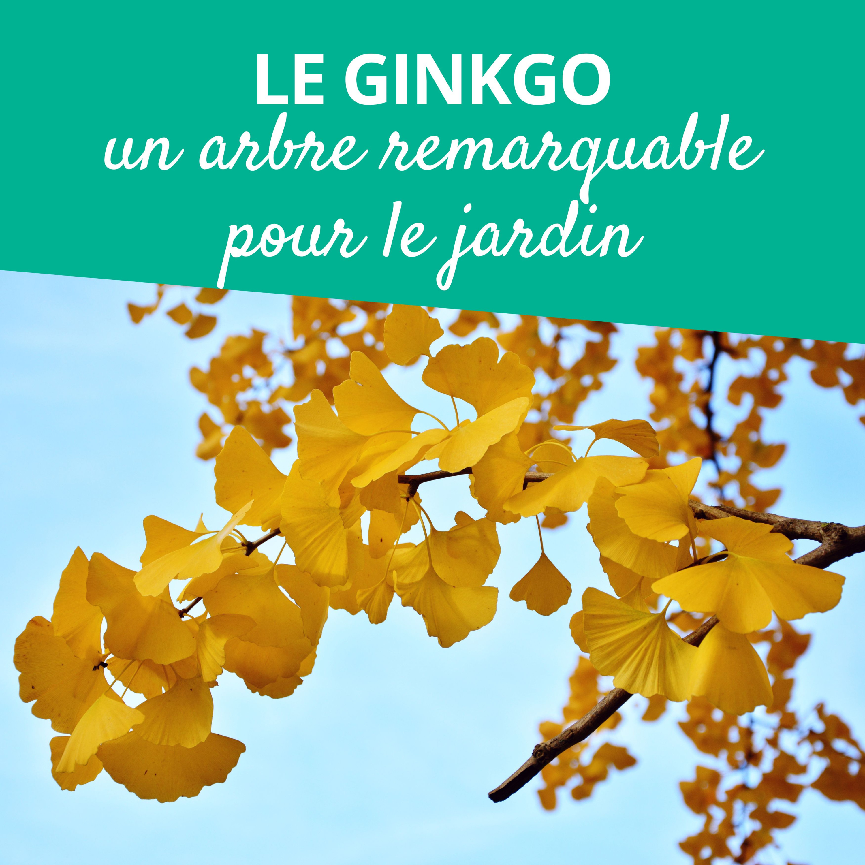 Branché au jardin : le podcast de Promesse de Fleurs sur le jardinage, la biodiversité et la nature.