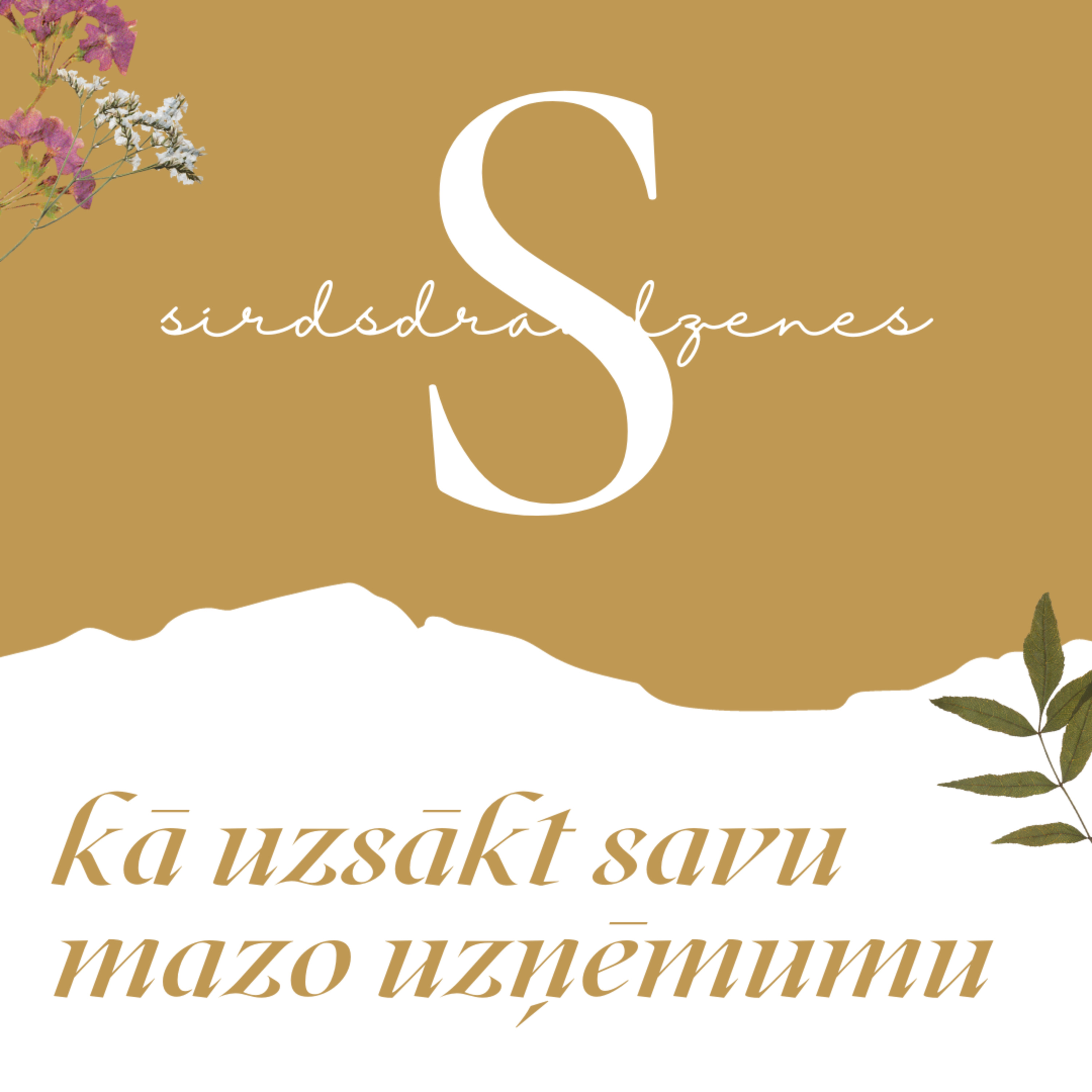 sirdsdraudzenes