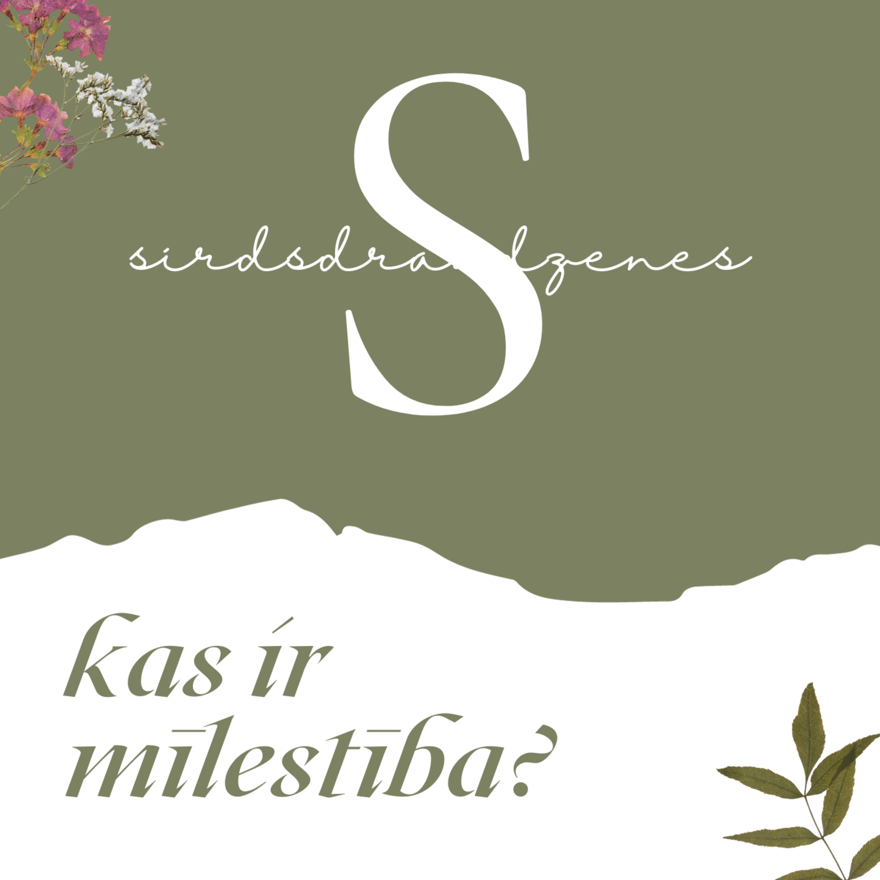 sirdsdraudzenes