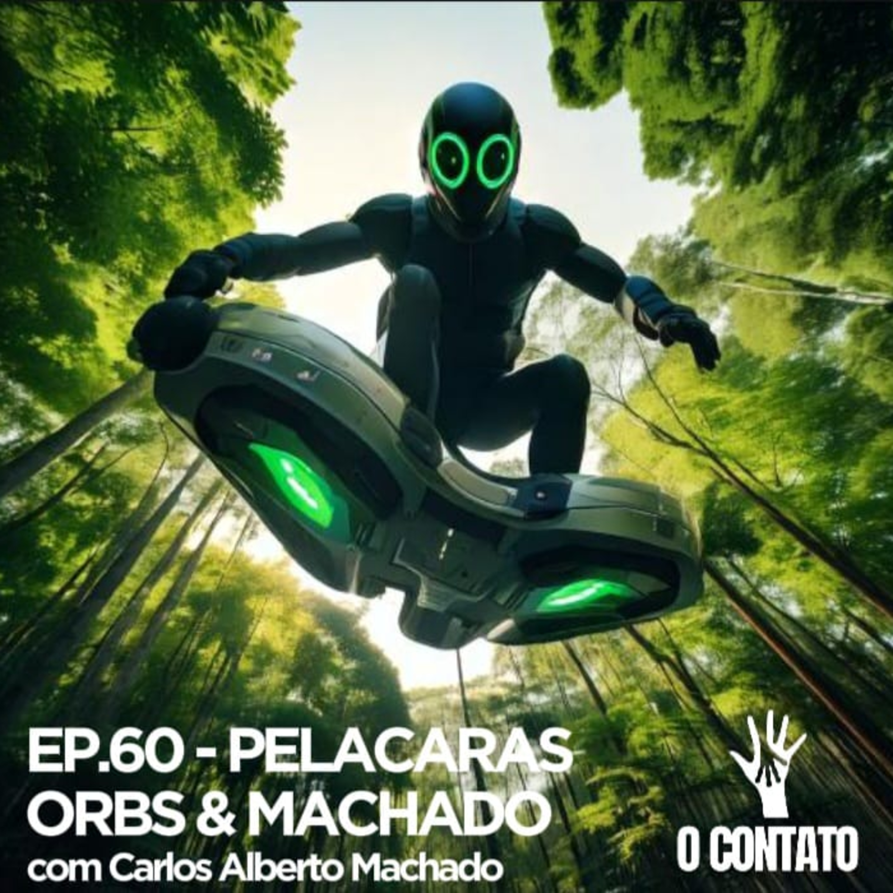 O Contato