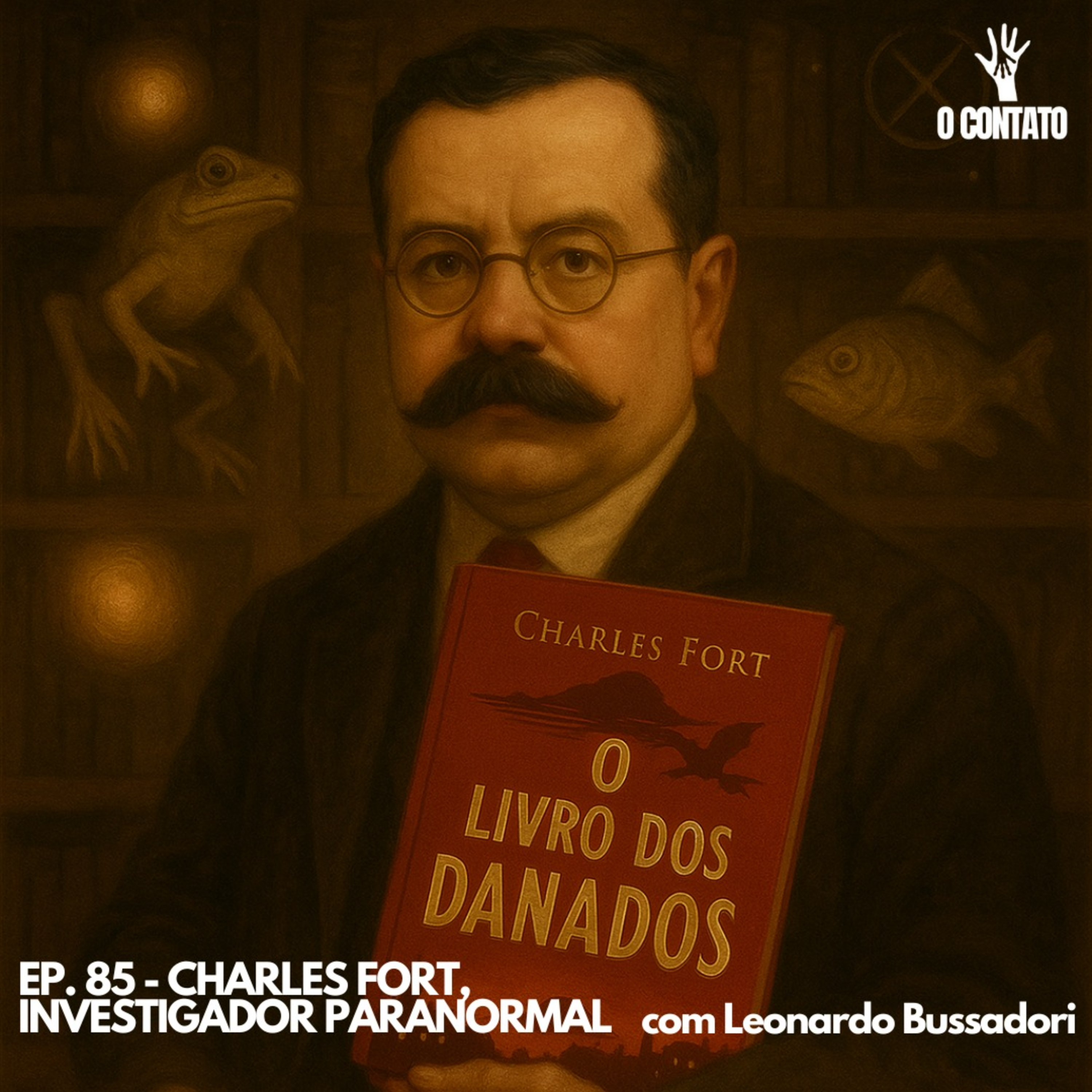 O Contato