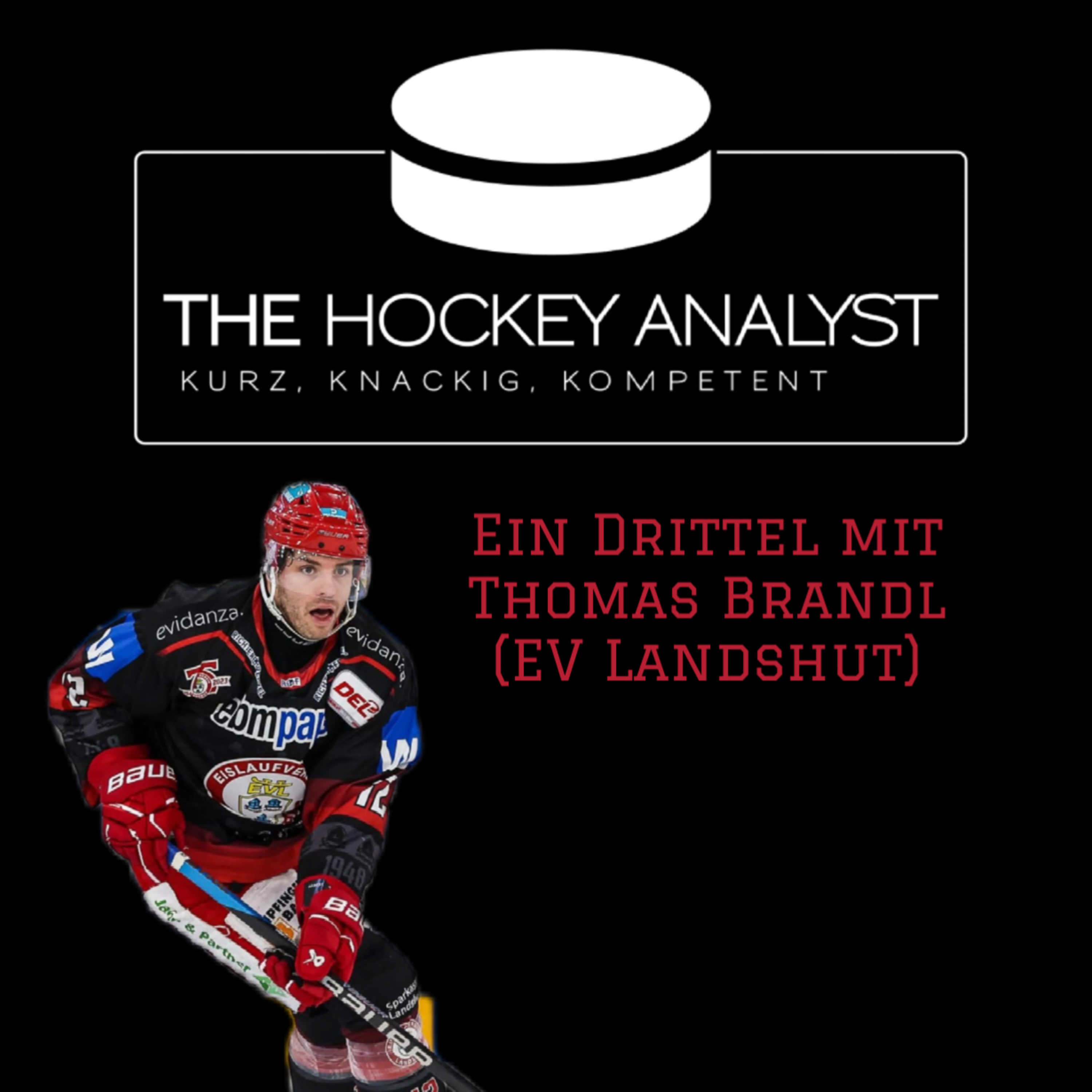 Folge 10: Von mageren (AEV und ERCI) Panthern und den zwei Gesichtern des EVL episode artwork