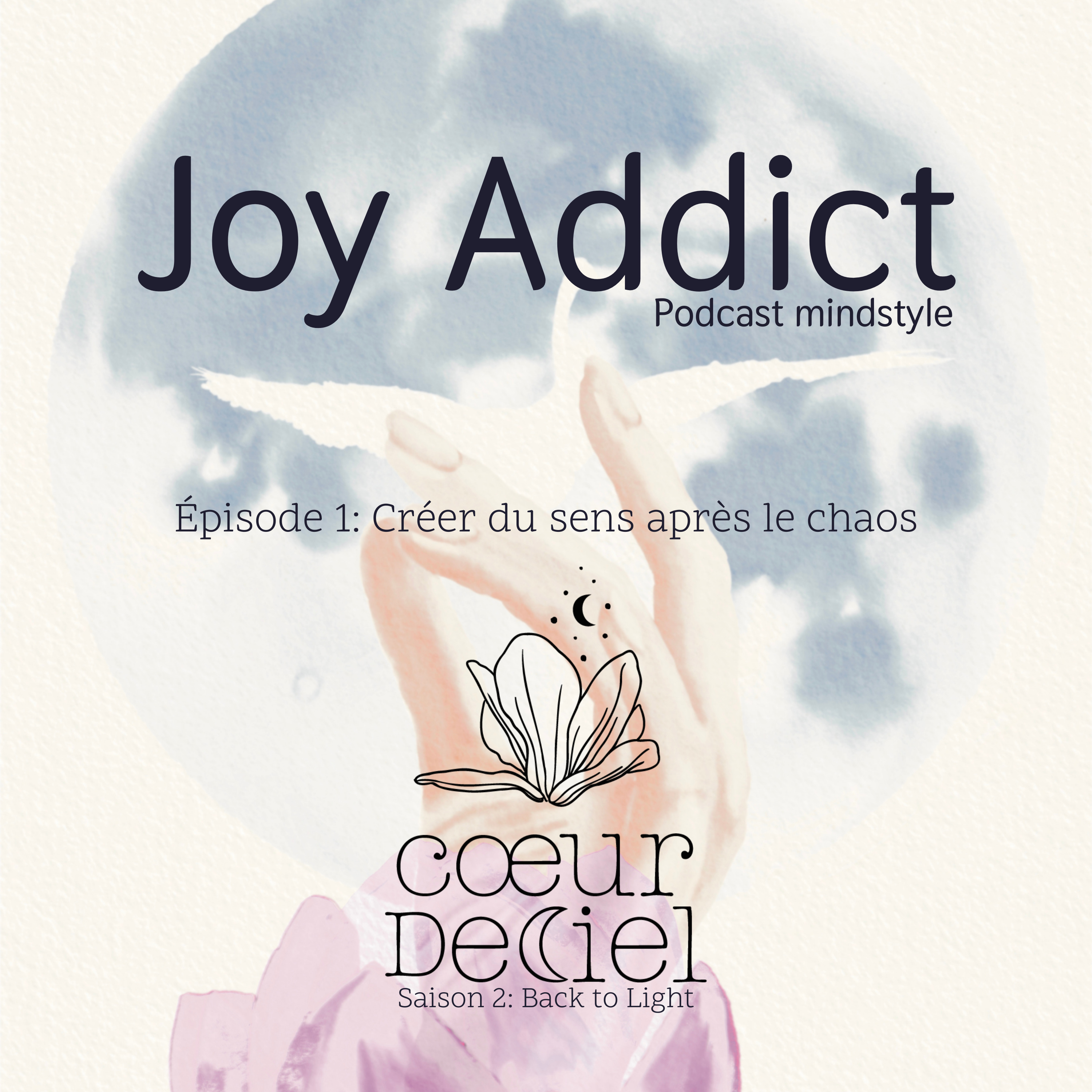 Créer du sens après le chaos episode artwork