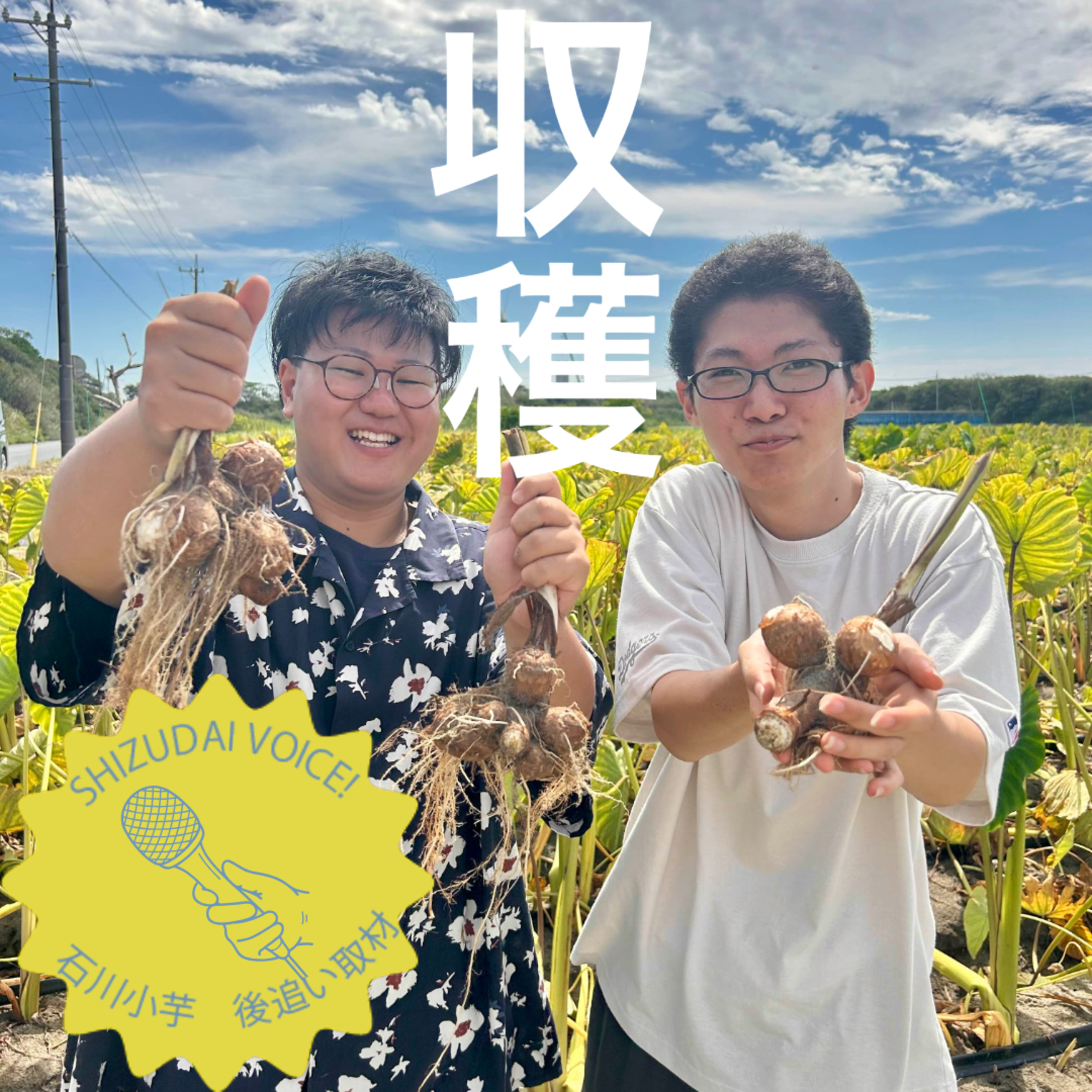 【後追い取材】 高級食材を収穫体験！石川小芋をフカボリ！ episode artwork