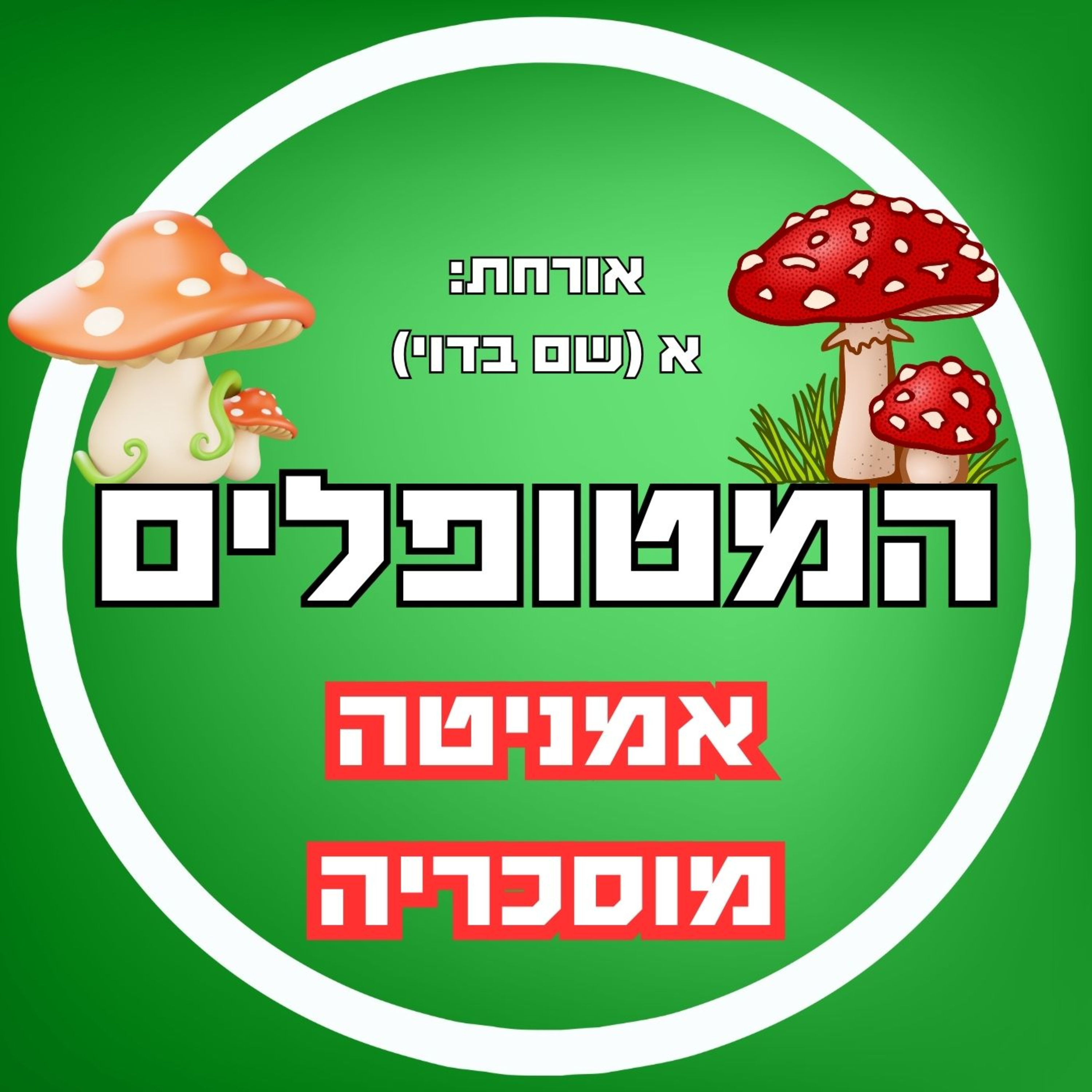 פרק36 - אמניטה מוסכריה - הפטריה המסתורית שמשפרת את החיים episode artwork