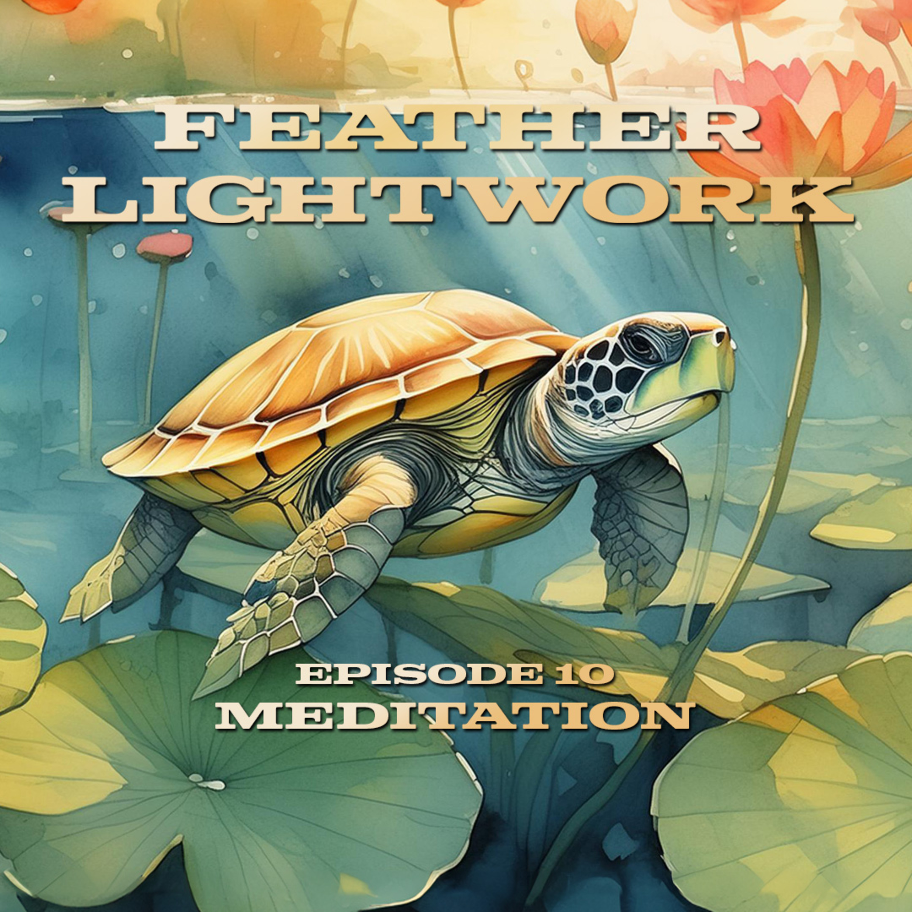 Feather Lightwork