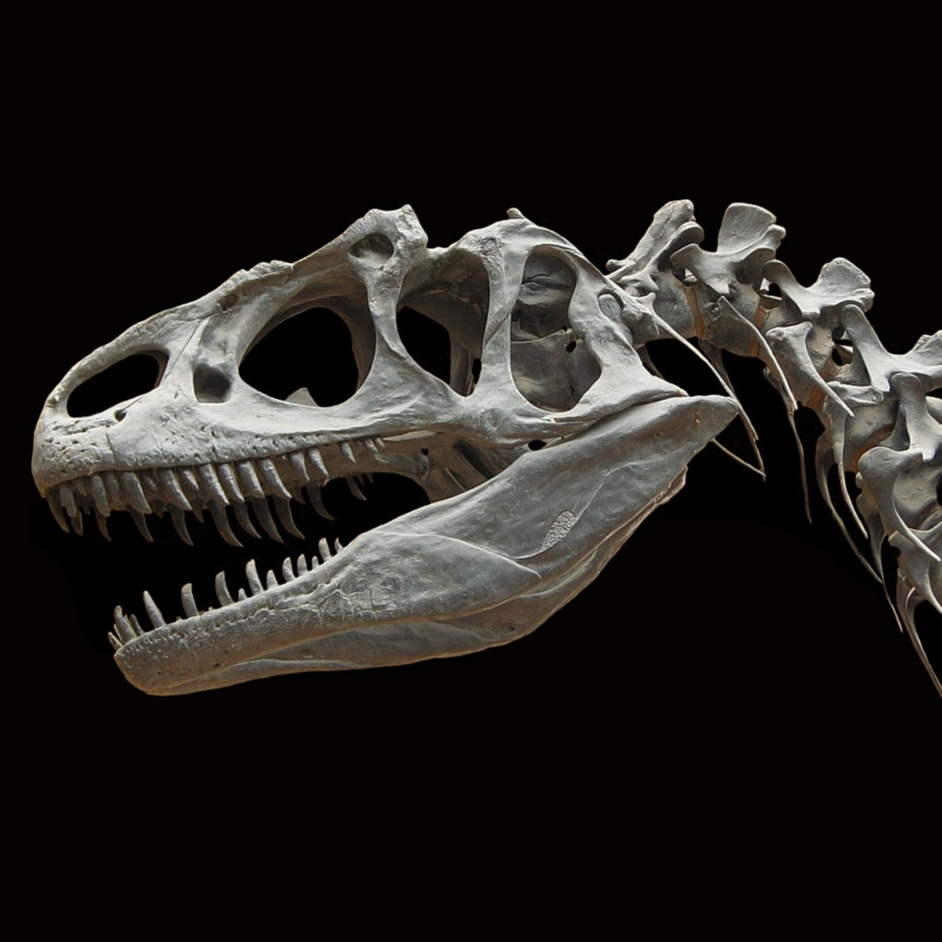 What the Earth was like 250,000,000 years ago