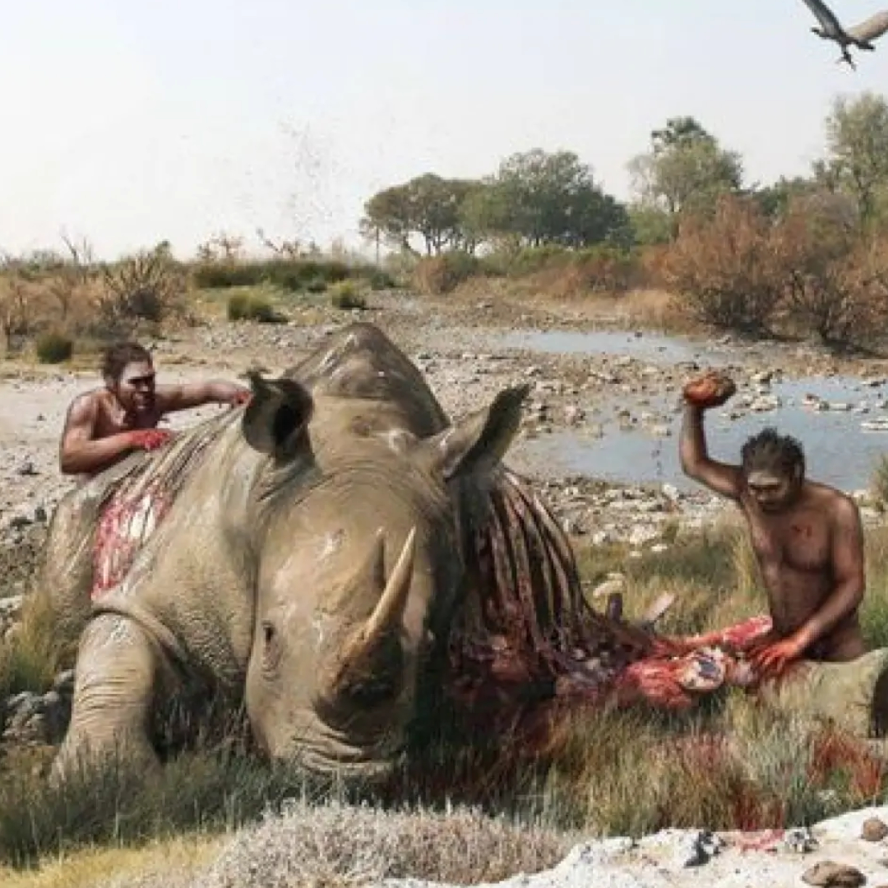 The Forefathers Of Humanity