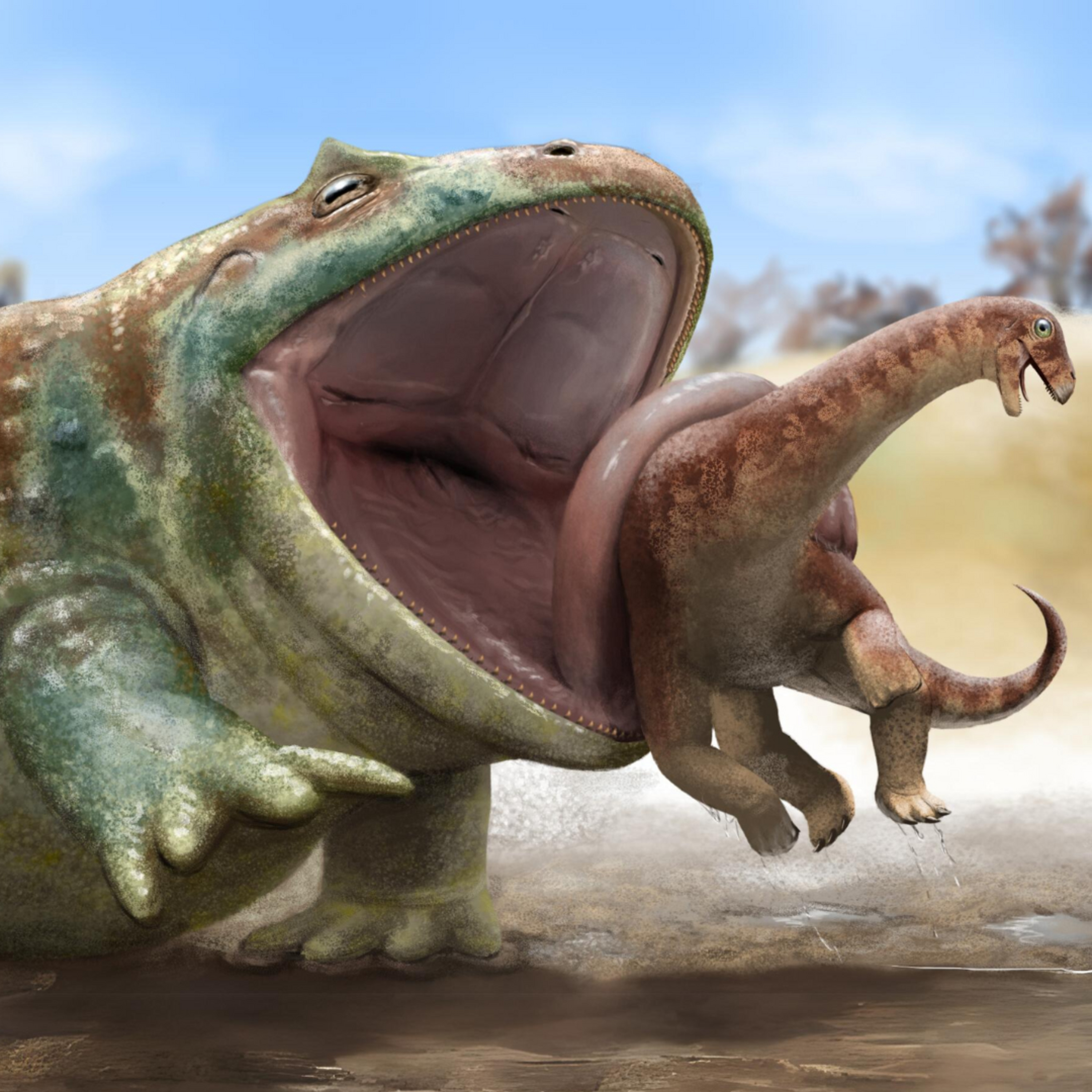 The Giant Frog That Probably Ate Dinosaurs