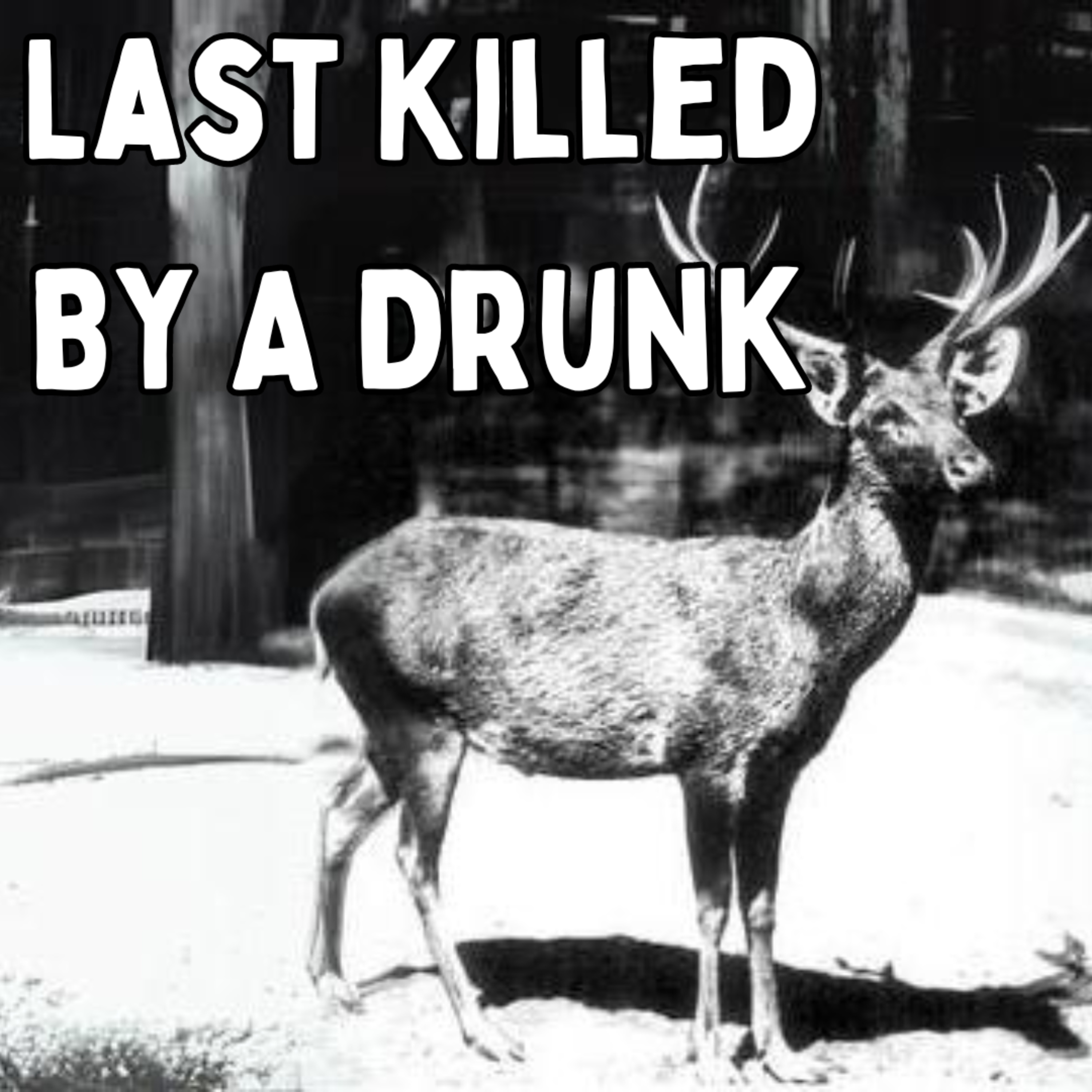 The Brutal Endings Of Four Recently Extinct Animals