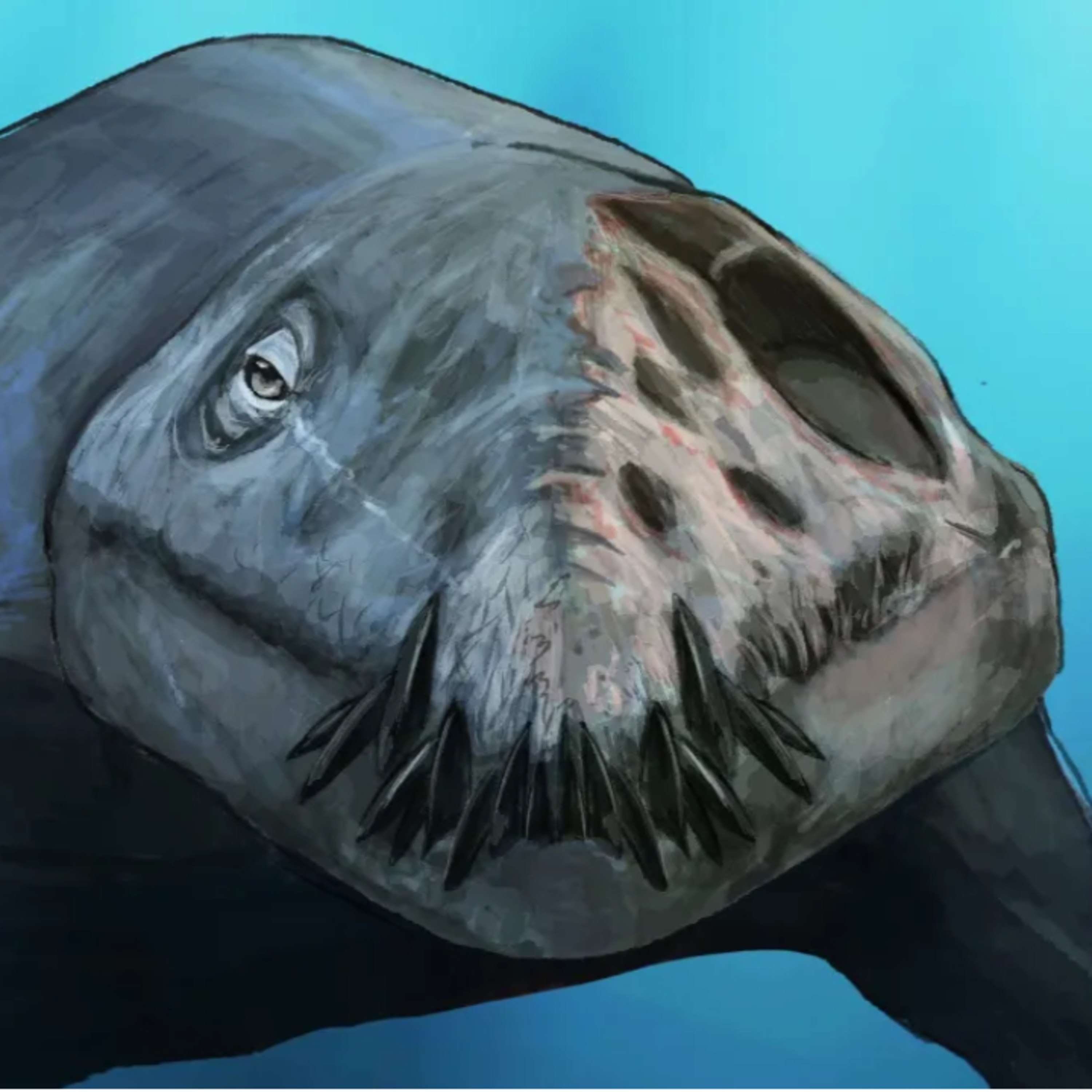 Prehistoric Animals Preserved So Well They Look Like Roadkill