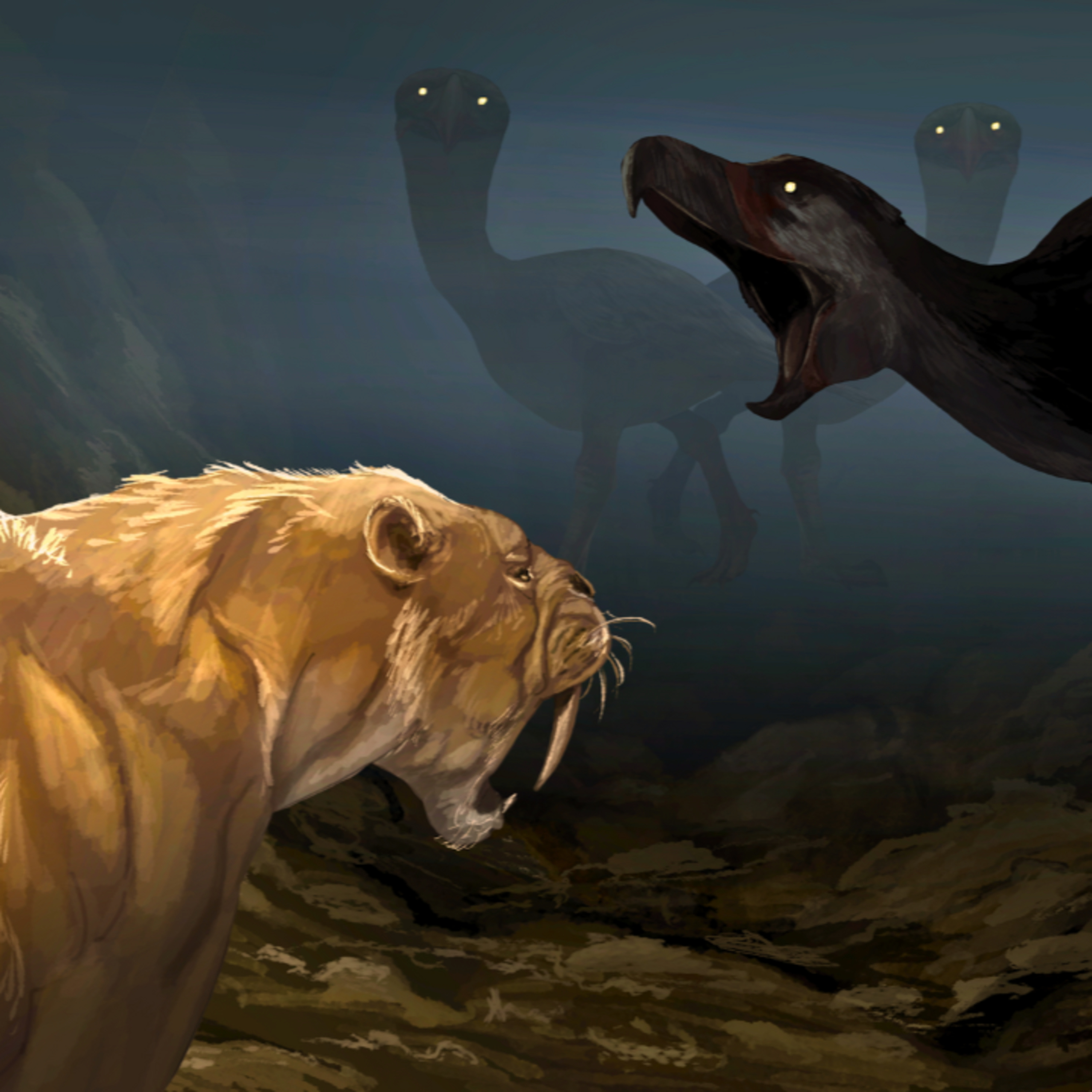 What Happened When Two Continents Collided