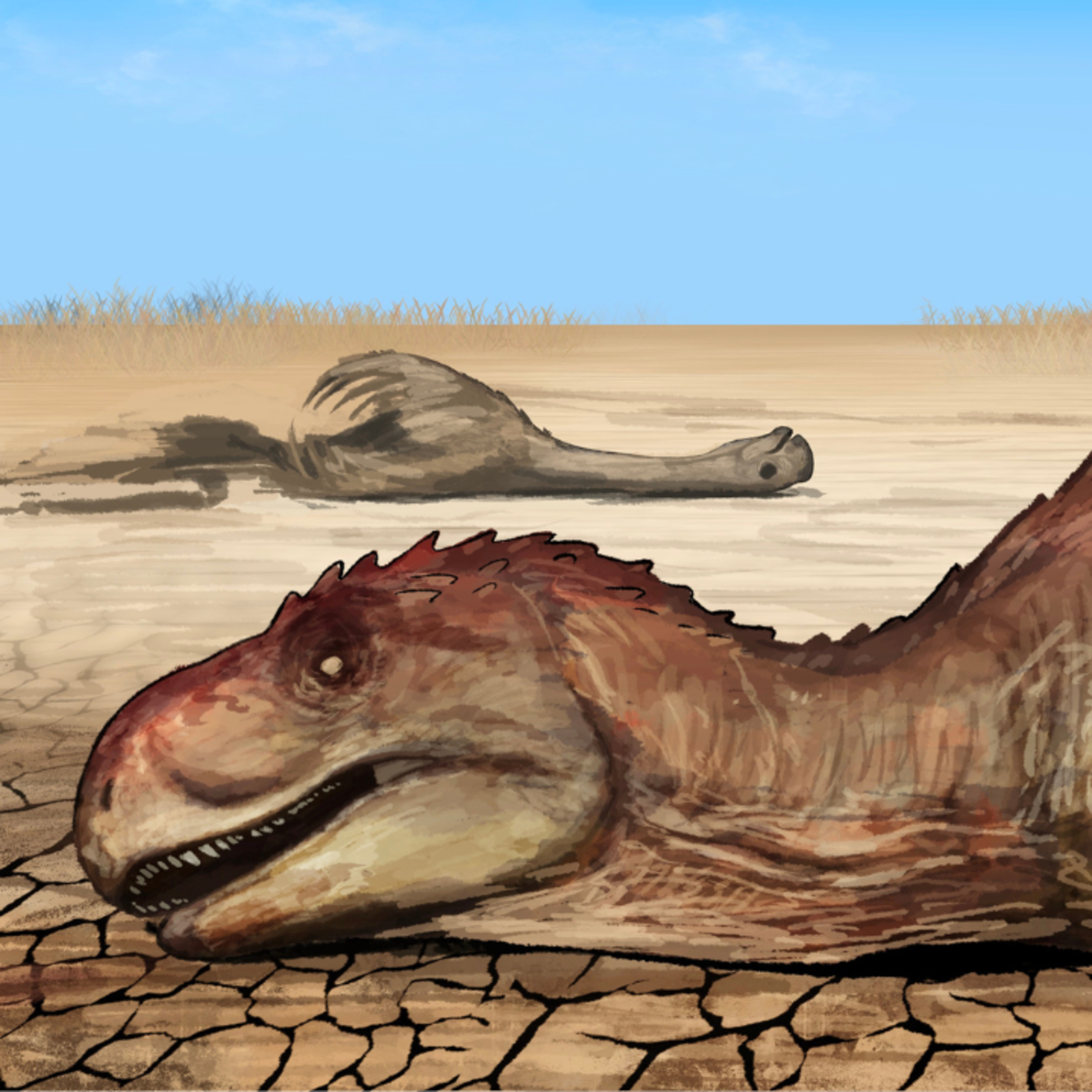 When Summer Lasted For 10,000,000 Years