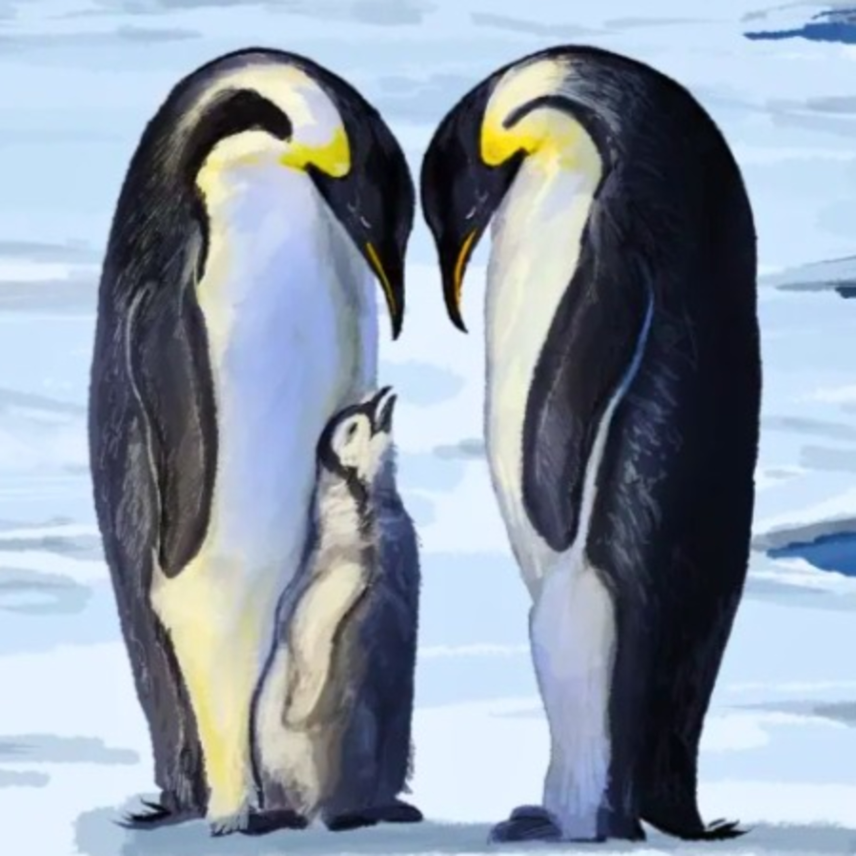 Why Animals Are White In The Arctic But Not In Antarctica