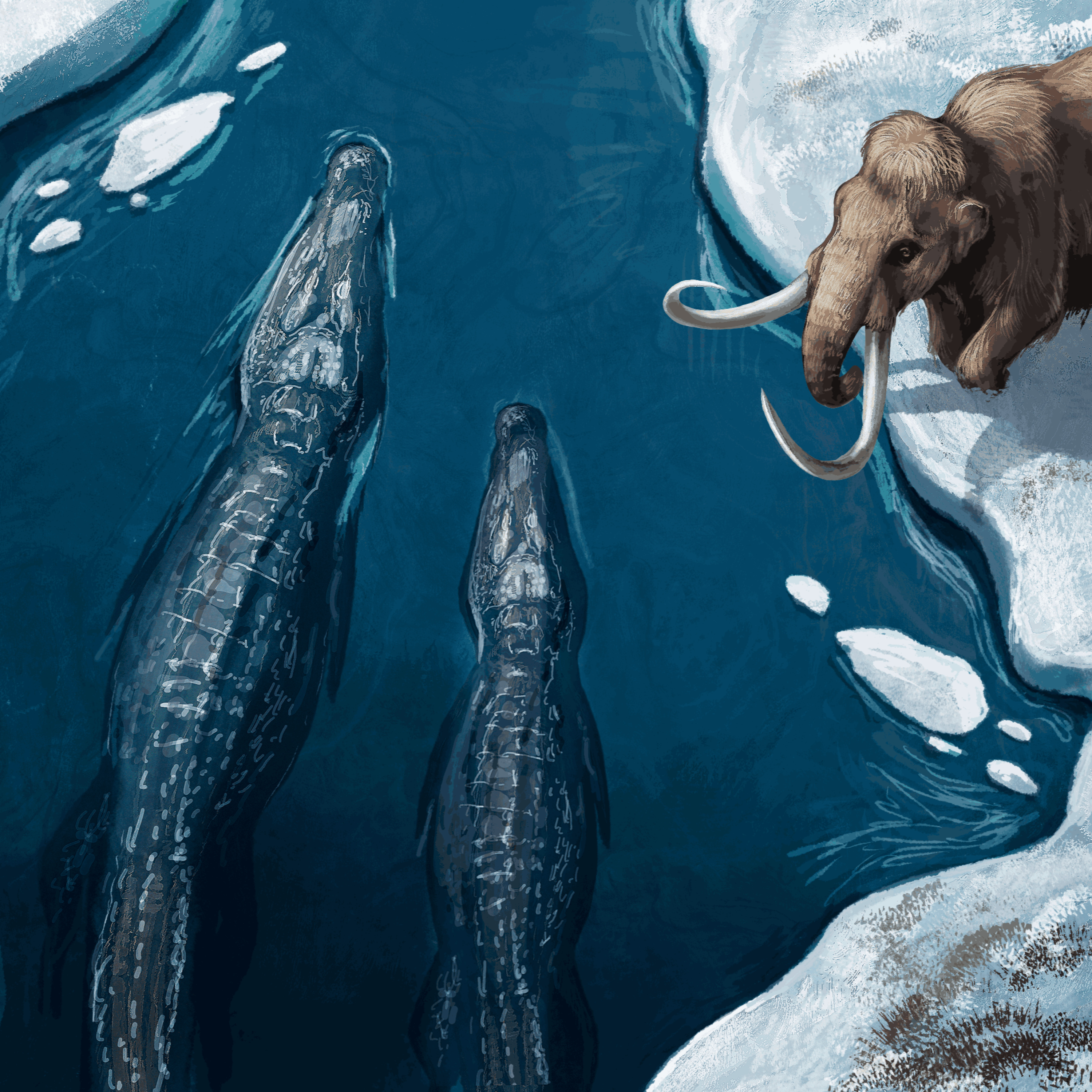 How Crocodiles Survived The Ice Age
