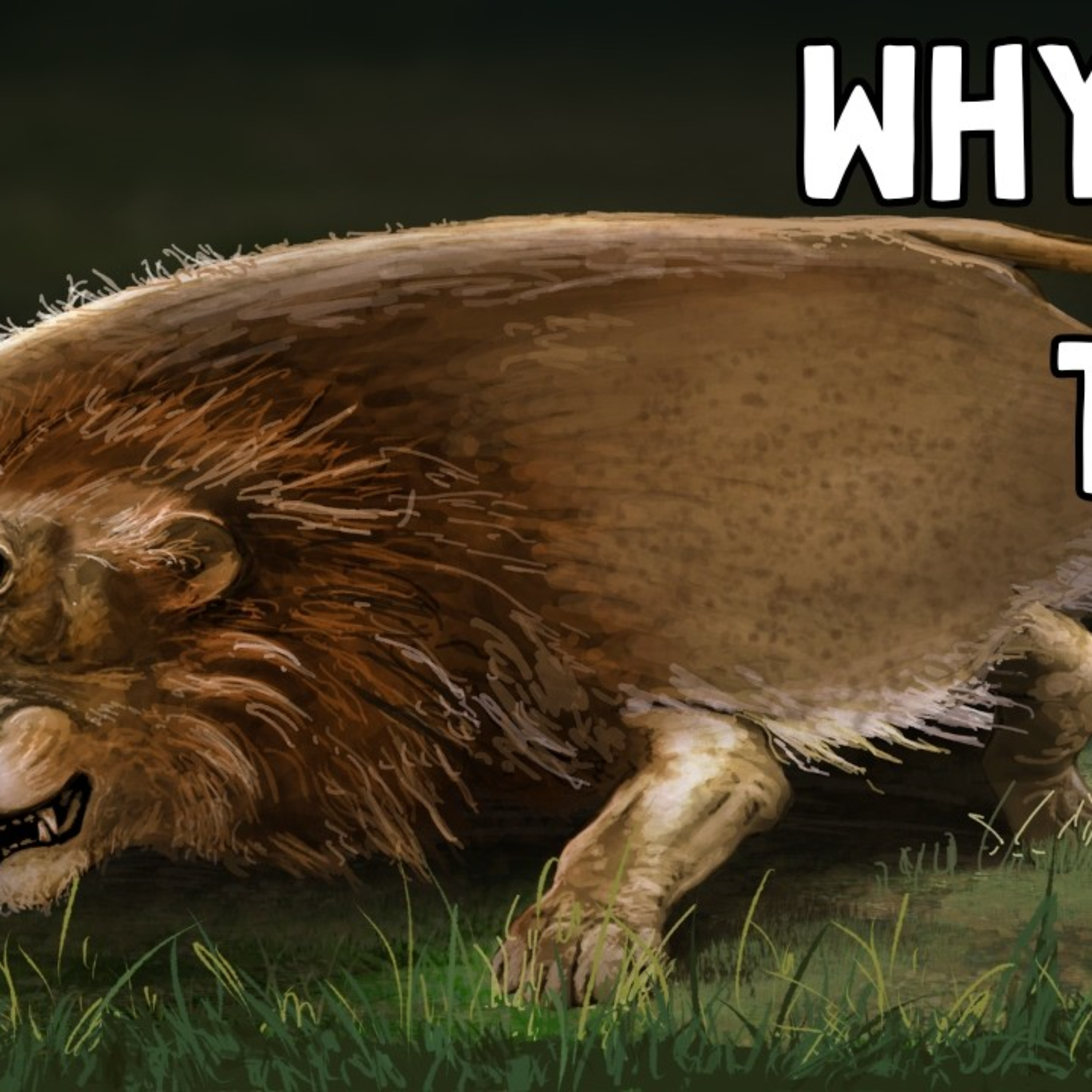 Why 99% Of Animals Are Symmetrical (And Why 1% Aren't)