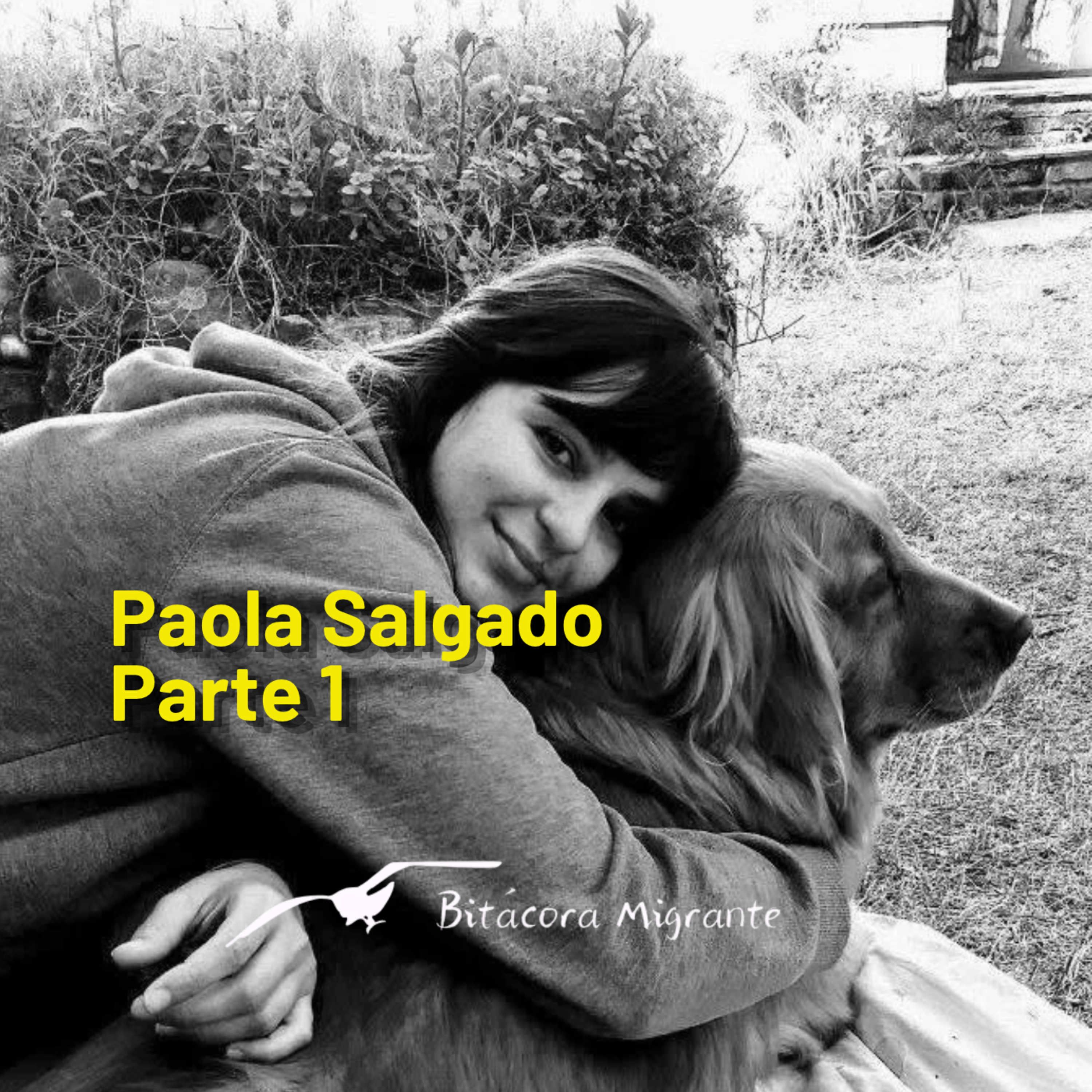 Portada de Bitácora Migrante