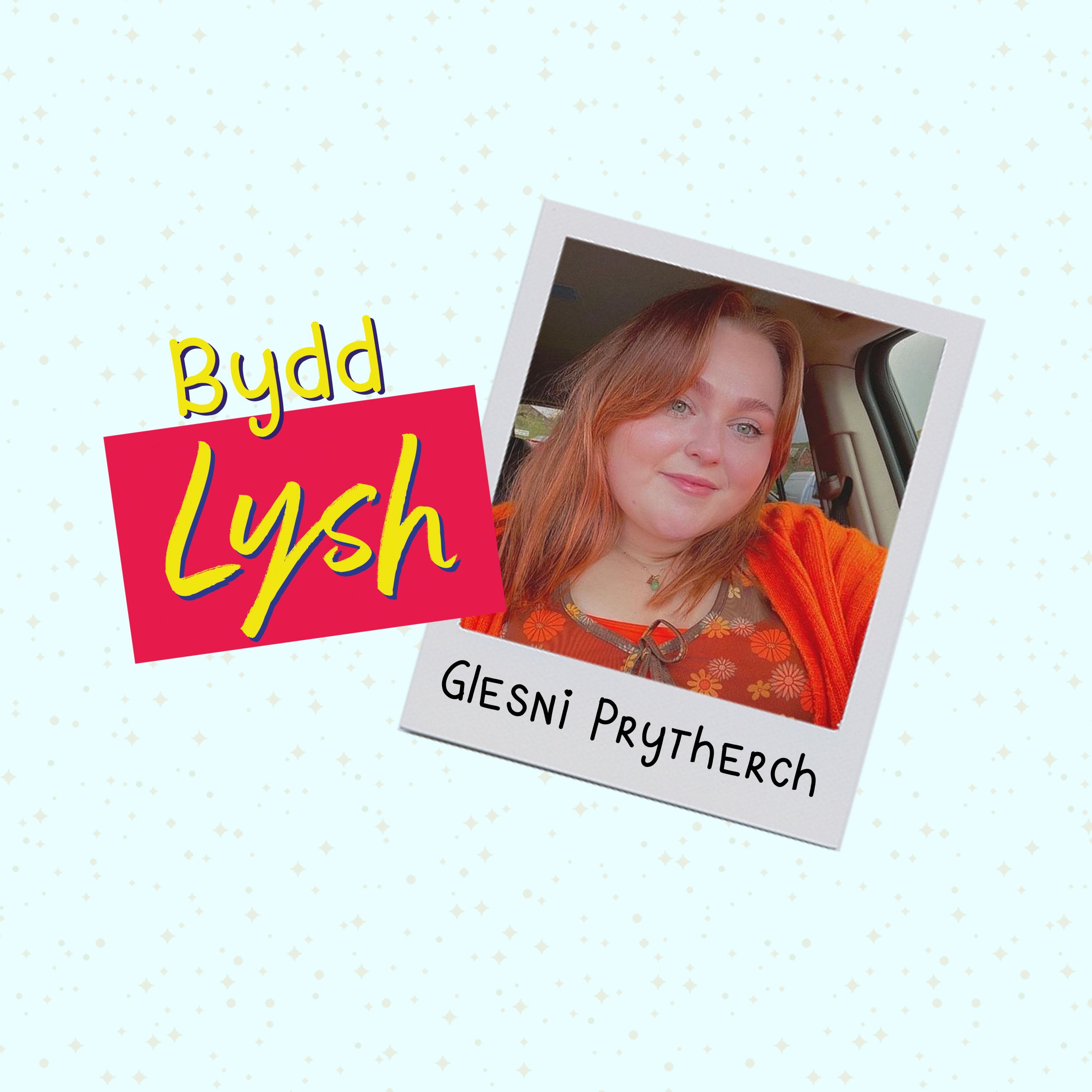 Bydd Lysh