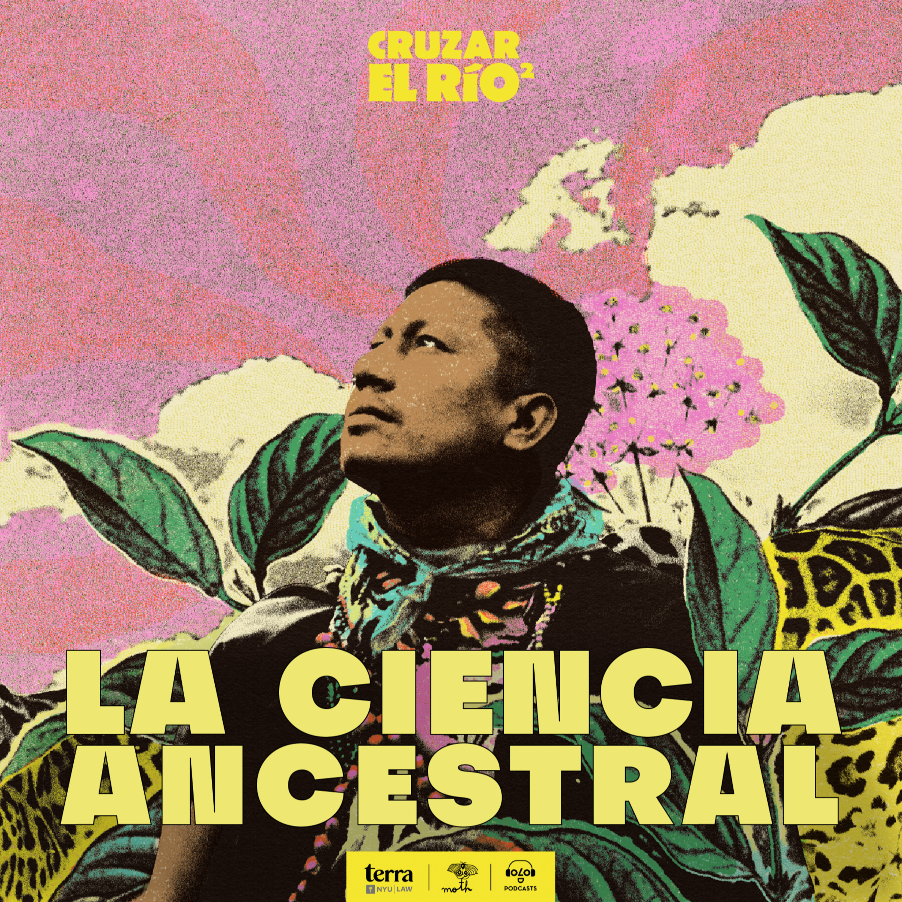 Alex Lucitante: La ciencia ancestral