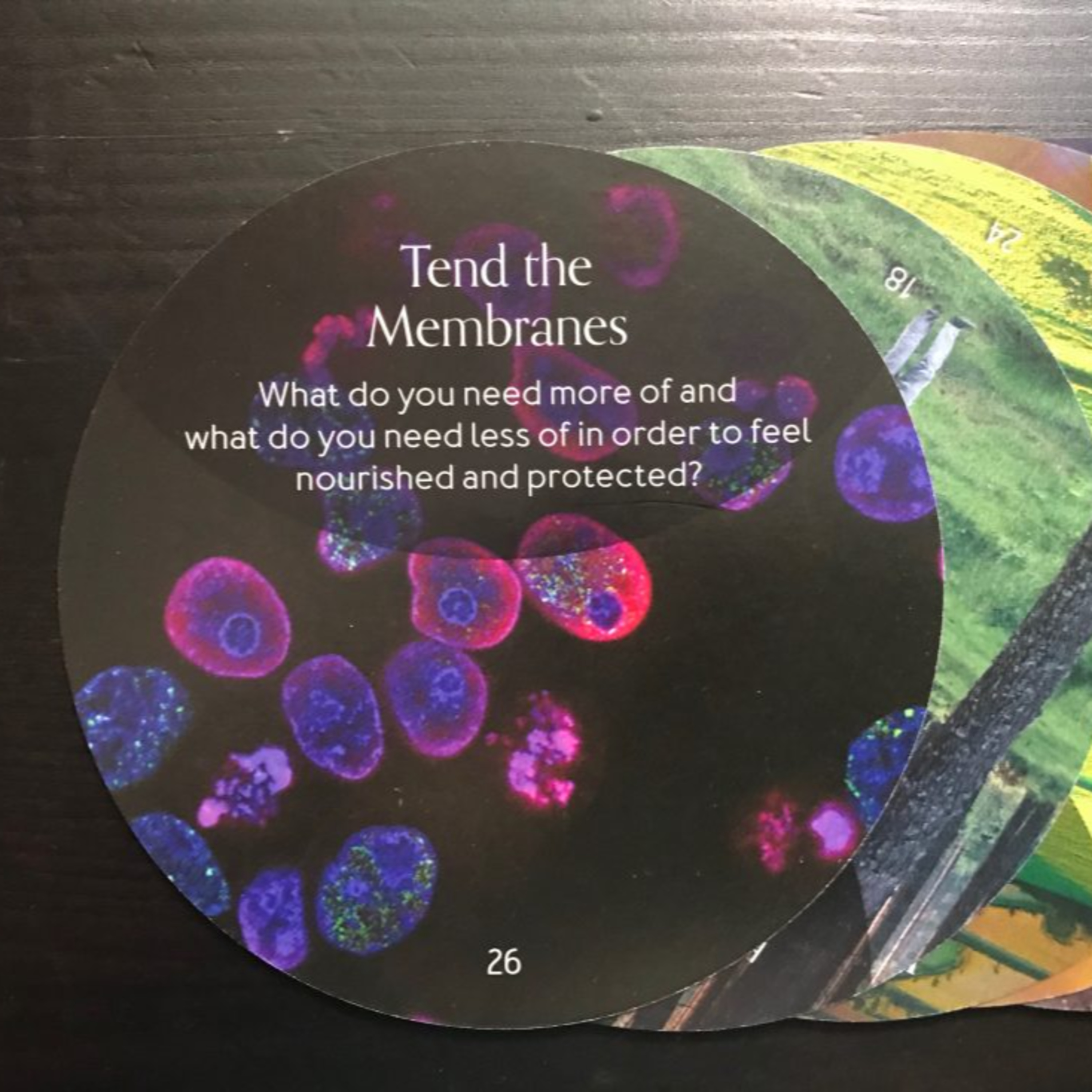Velcro membranes I Heather Plett episode artwork