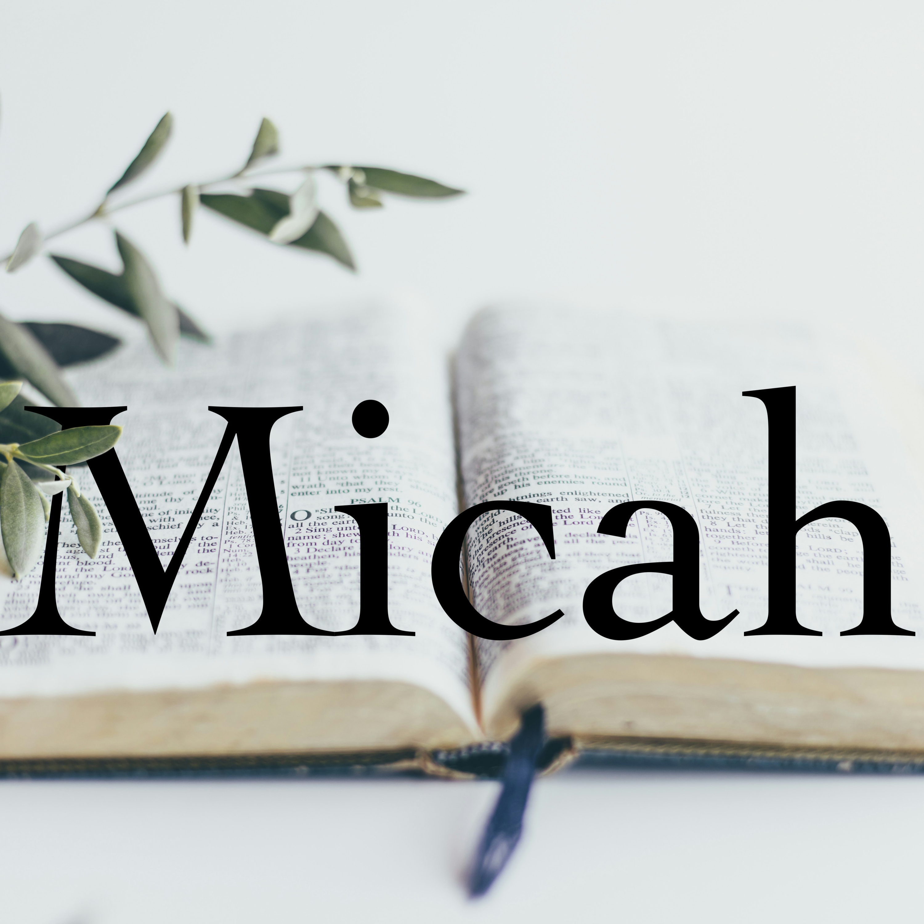 Expository Preaching