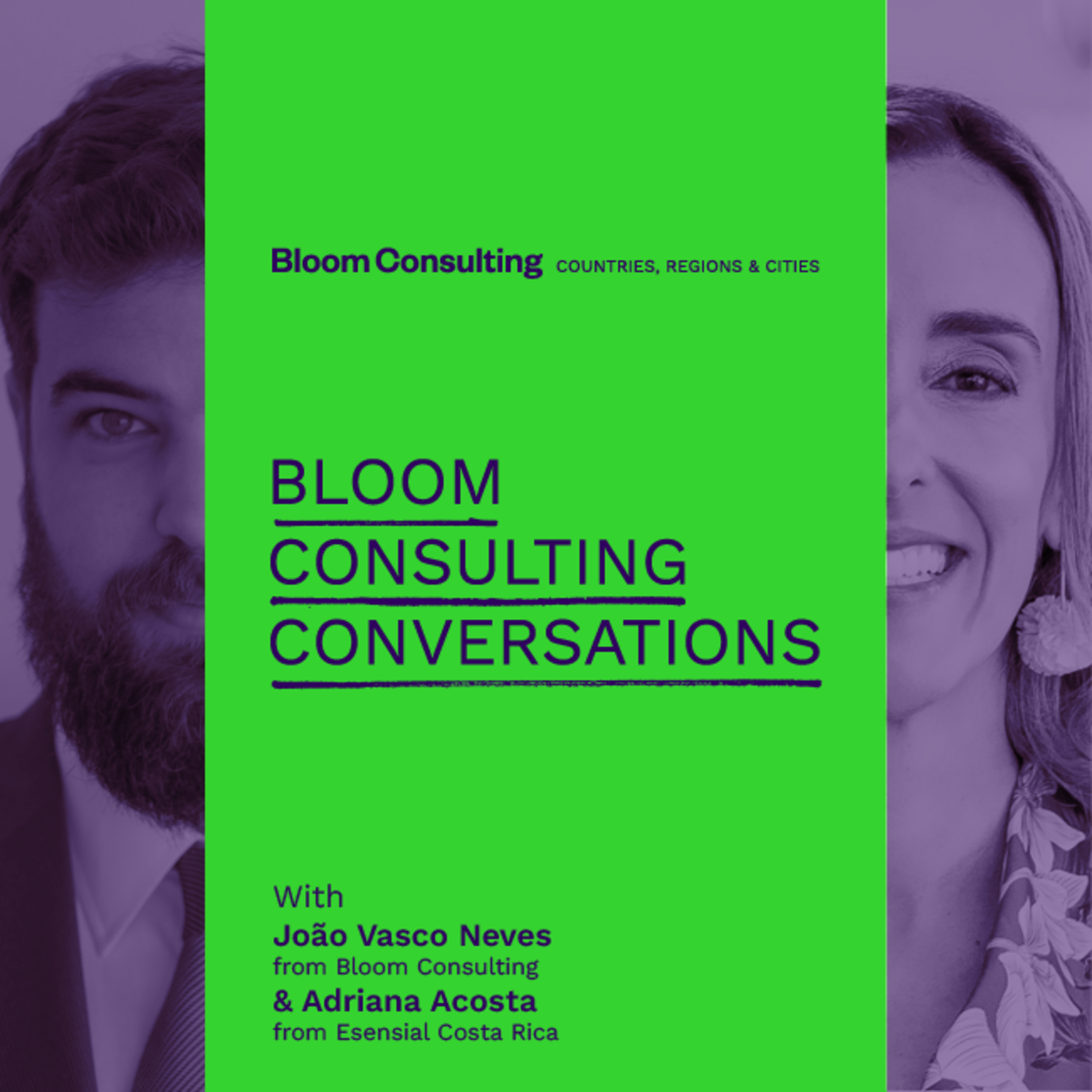 Bloom Consulting Conversations