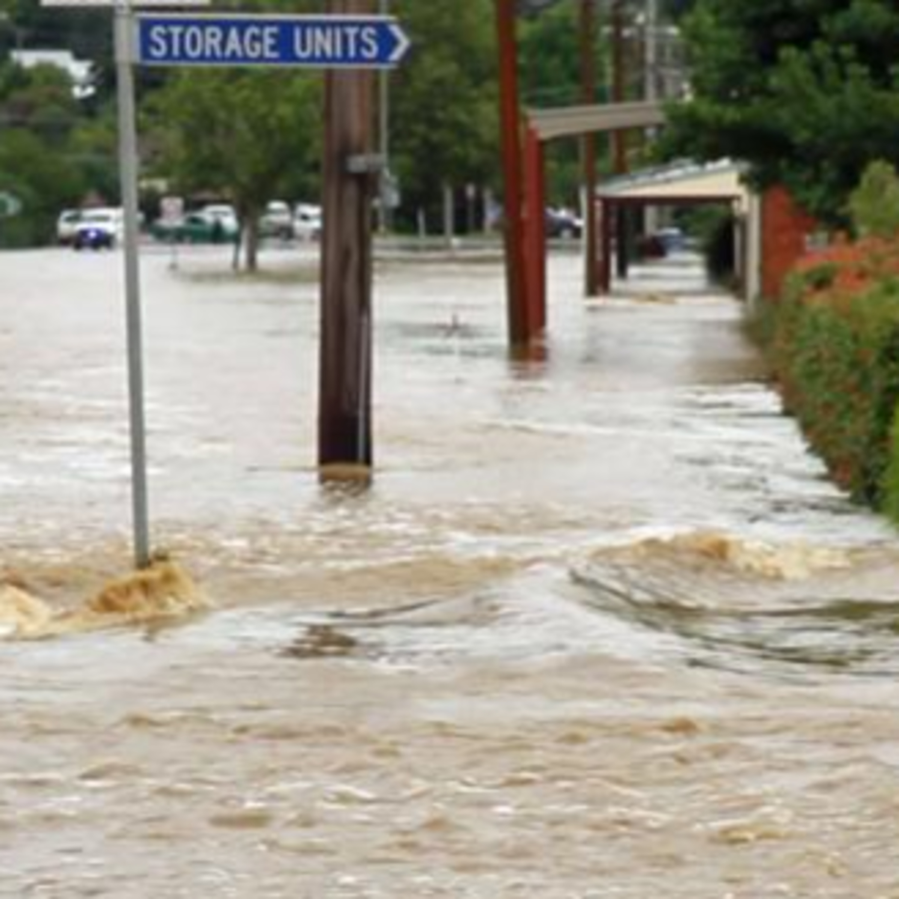 This CresFest World!