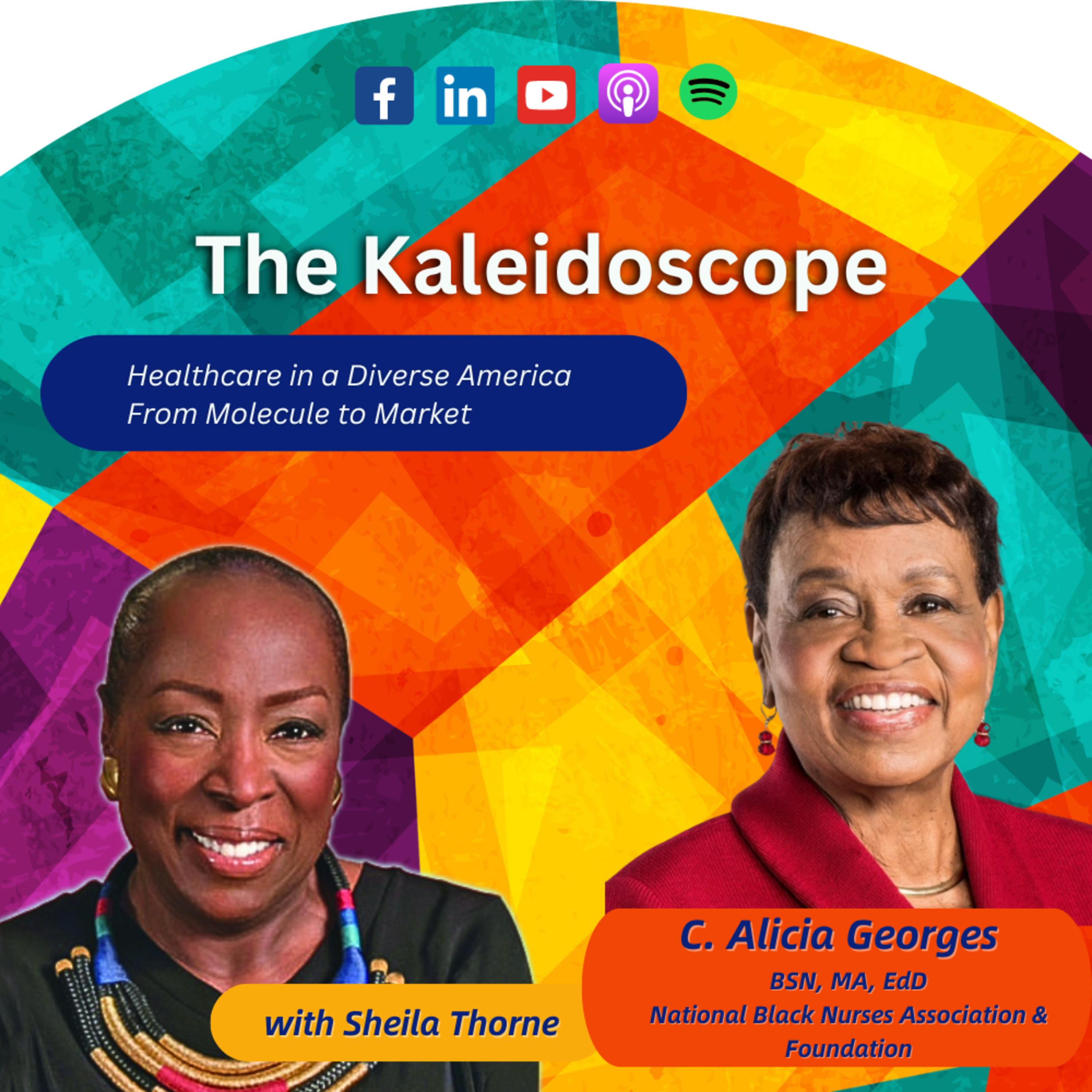 DEI and Healthcare with Dr. Catherine Alicia Georges episode artwork