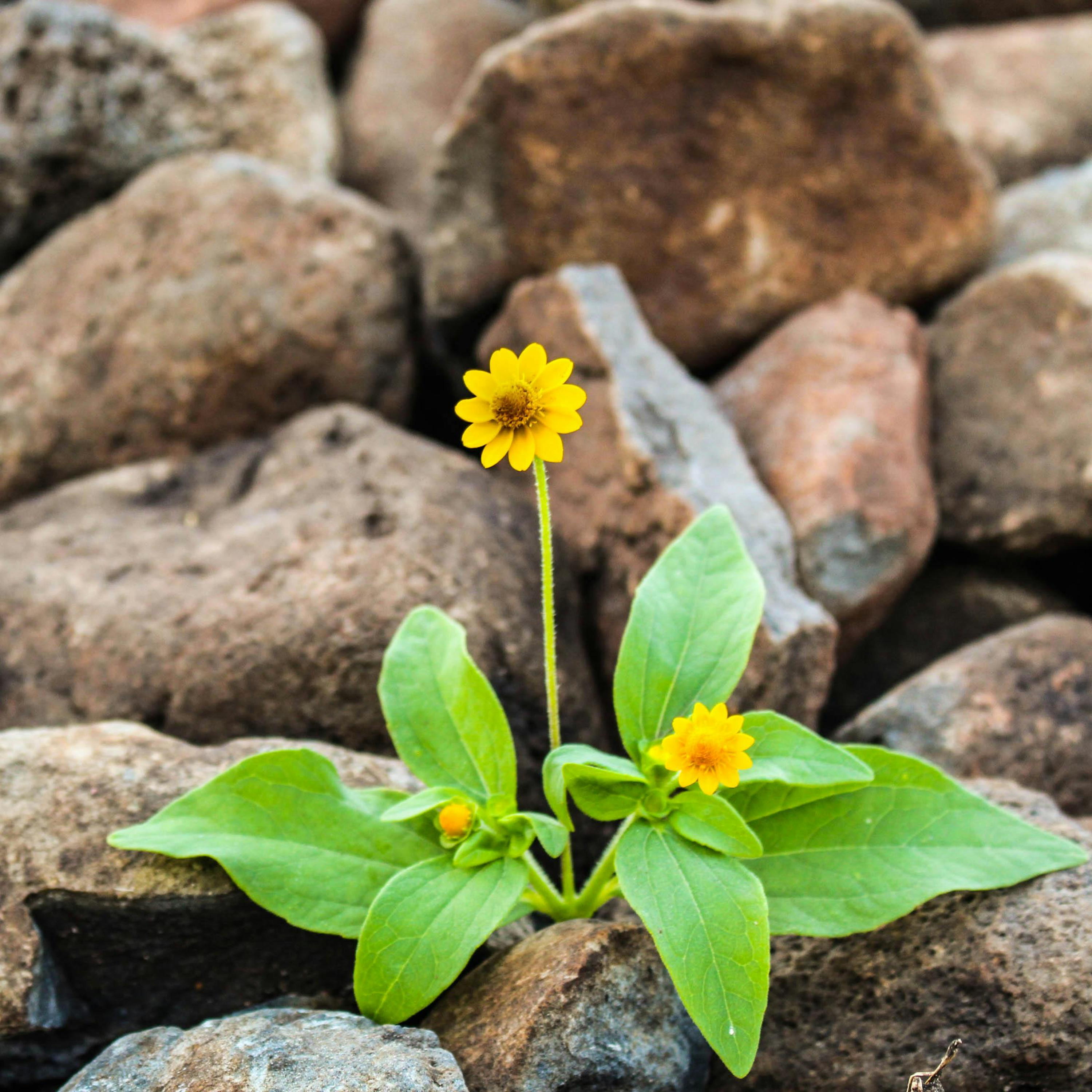 Marriage Repair Workshop: Creating a Safe Space for Growth episode artwork