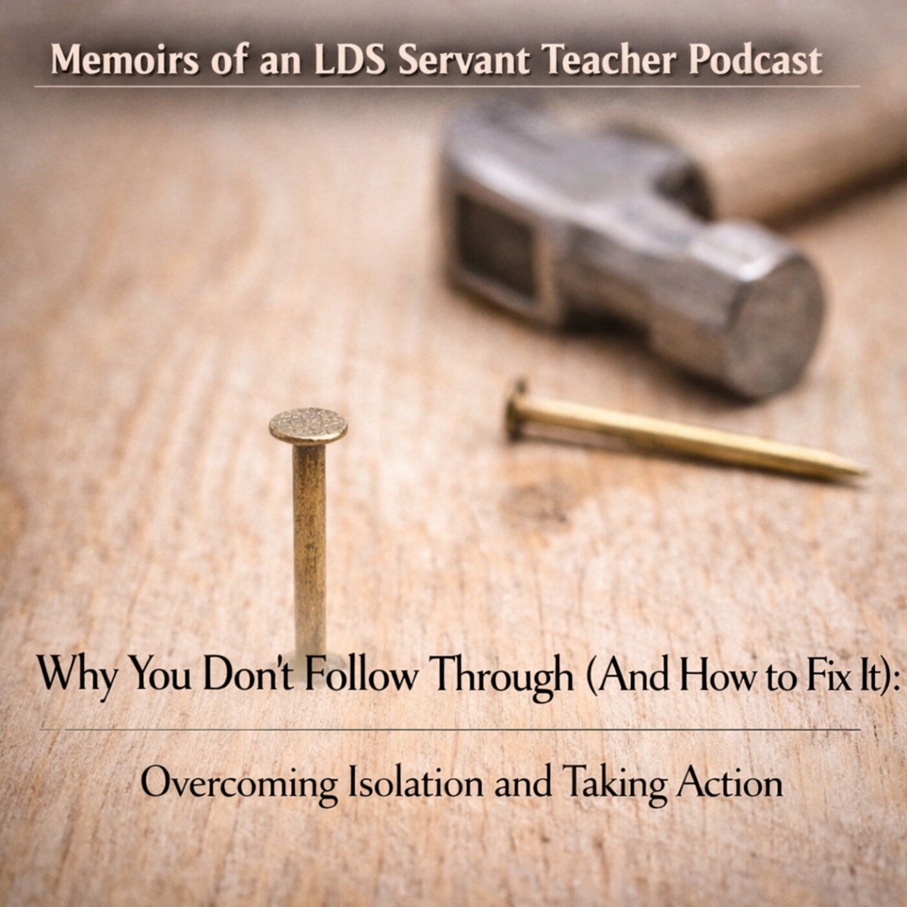 Why You Don’t Follow Through (And How to Fix It): Overcoming Isolation and Taking Action episode artwork
