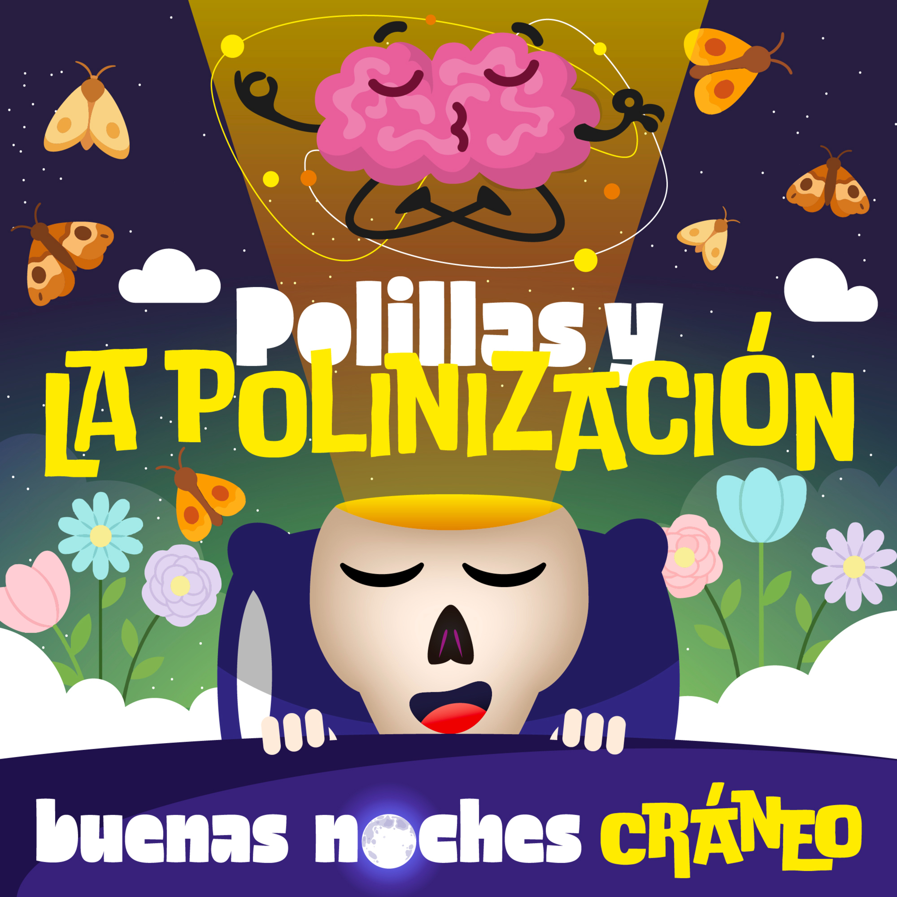 Polillas y la polinización de noche (asombro)