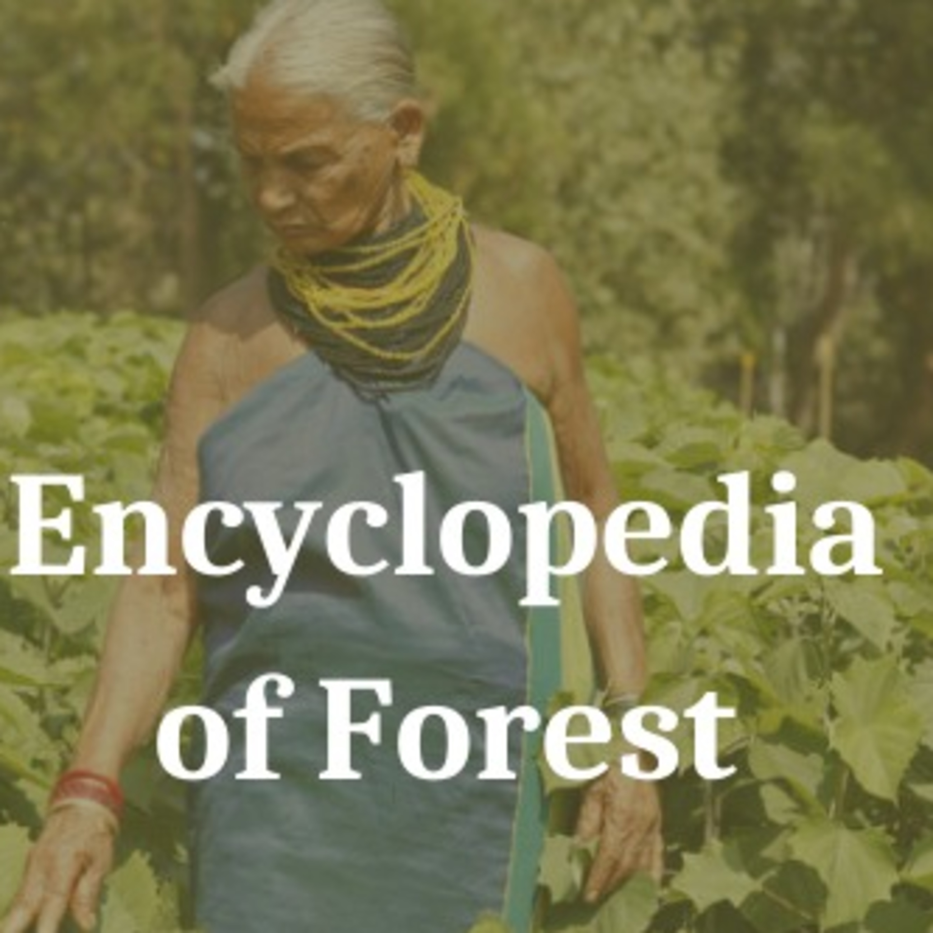 Episode 80 – 'The Forest’s Daughter- Tulsi Gowda’s Story' episode artwork