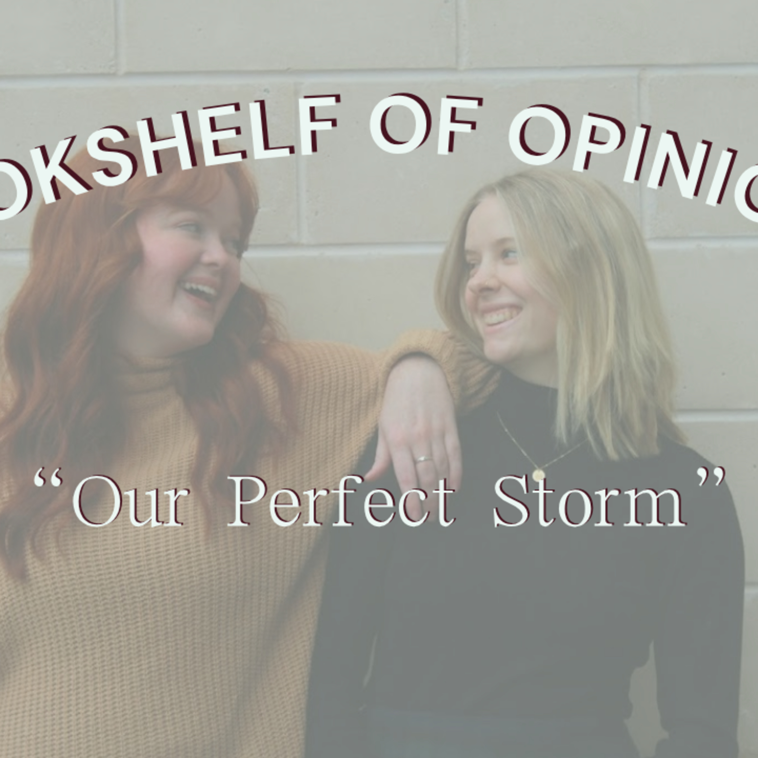Our Perfect Storm episode artwork