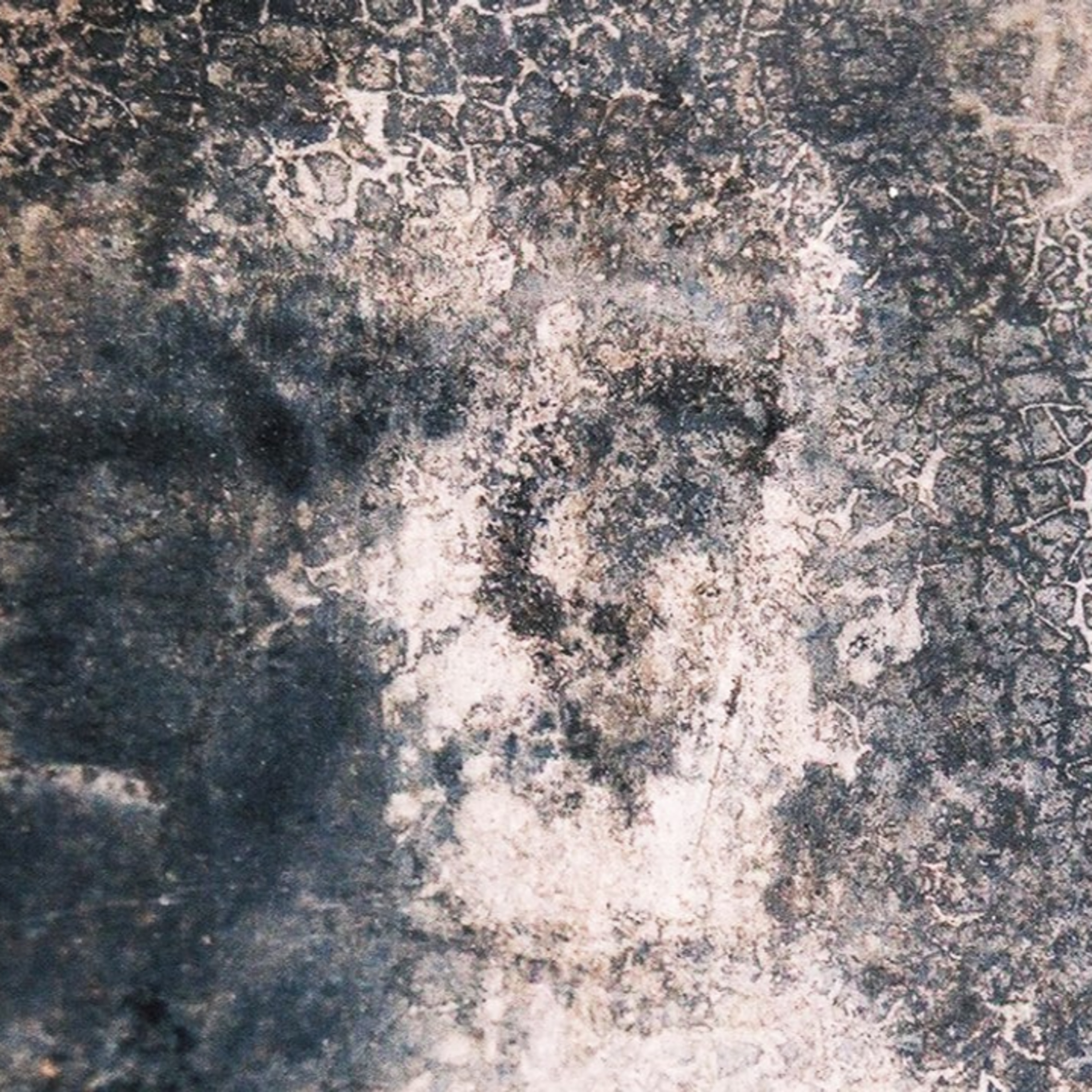 2024-01-19: Belmez Veidai, 1 dalis episode artwork