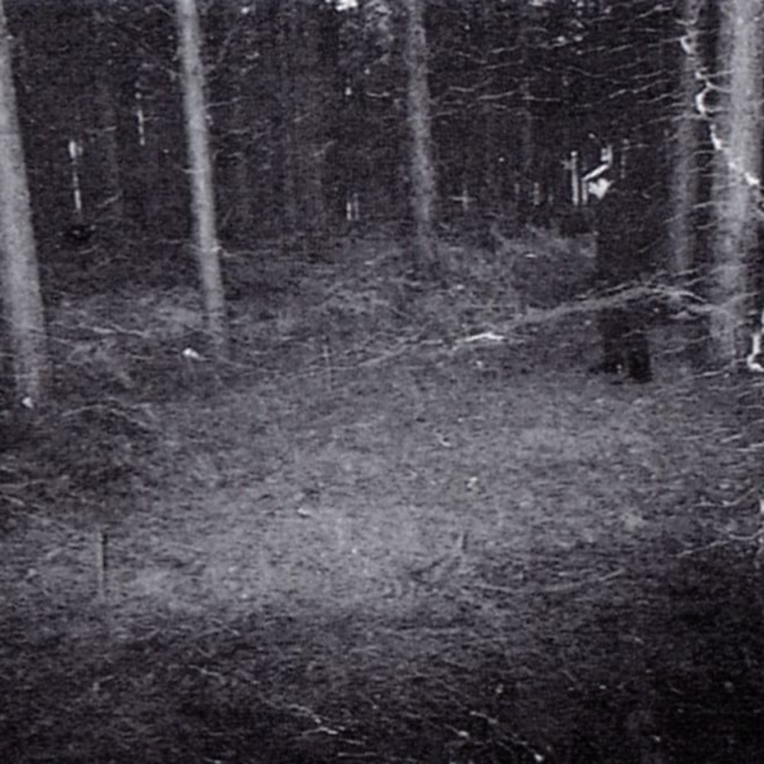 2024-02-17: Rendlesham Miško NSO, 1 dalis episode artwork