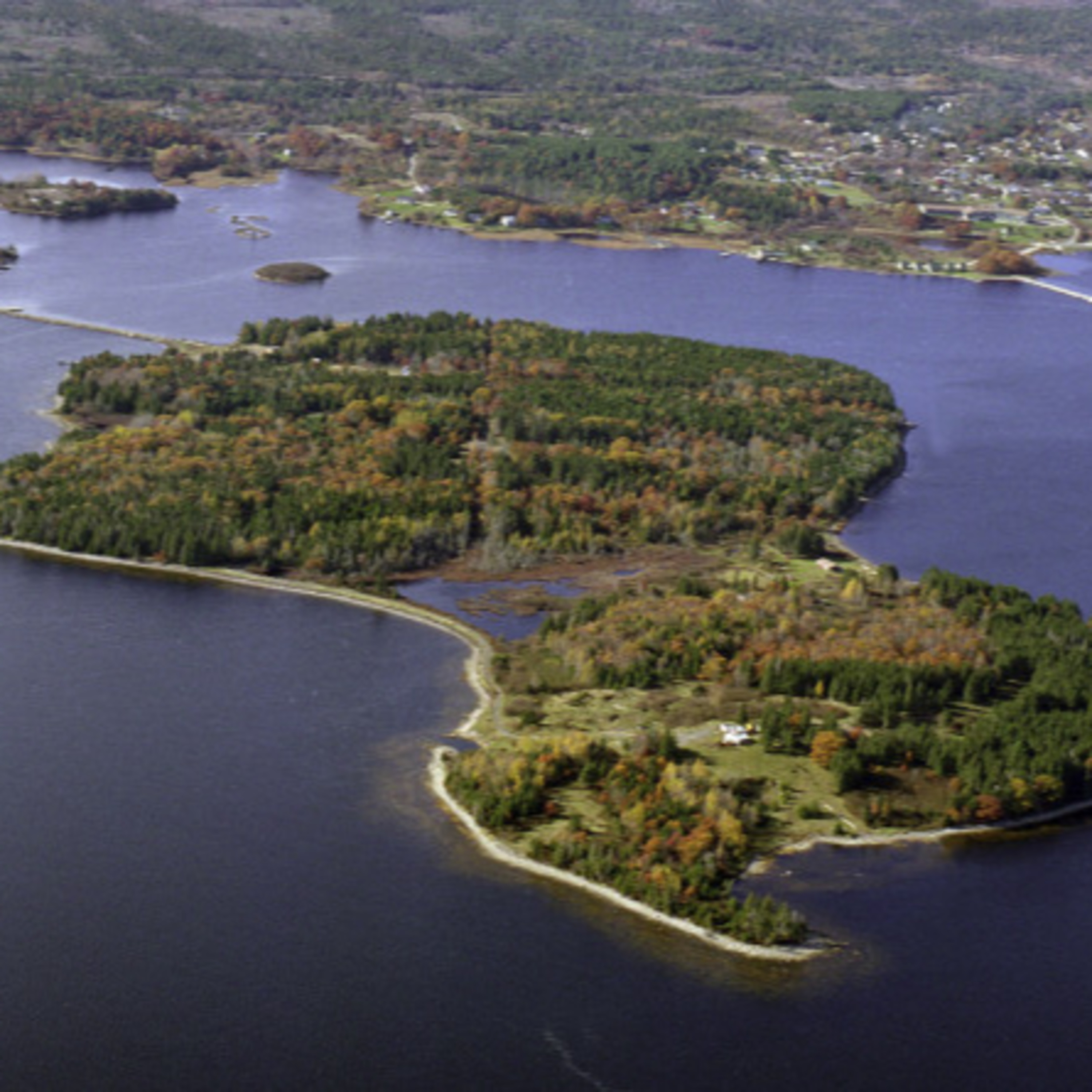 2024-02-23: Oak Island Lobio Paieškos, 1 dalis episode artwork